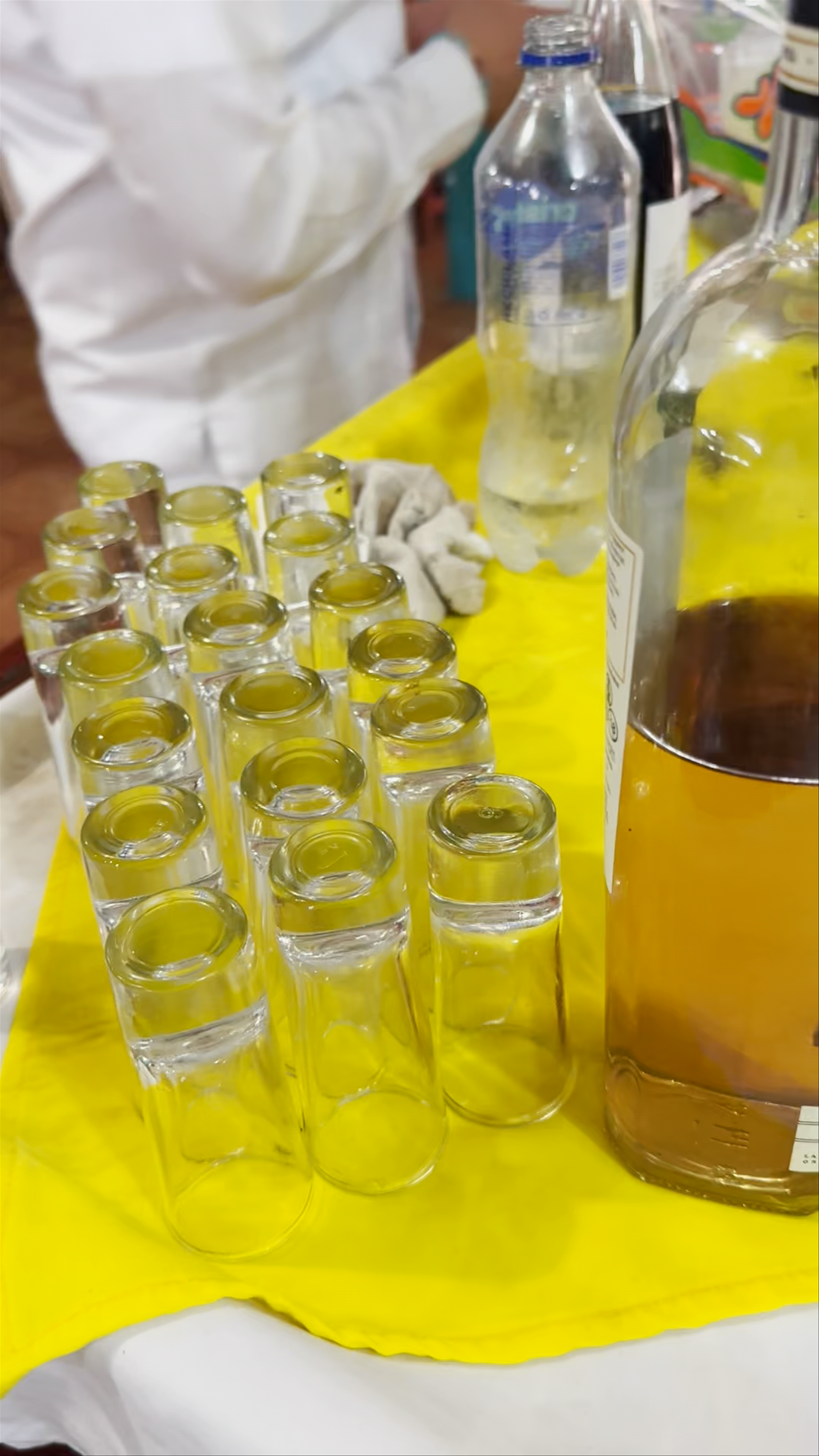 Traditional Mexican Spirits Tasting in Uxmal