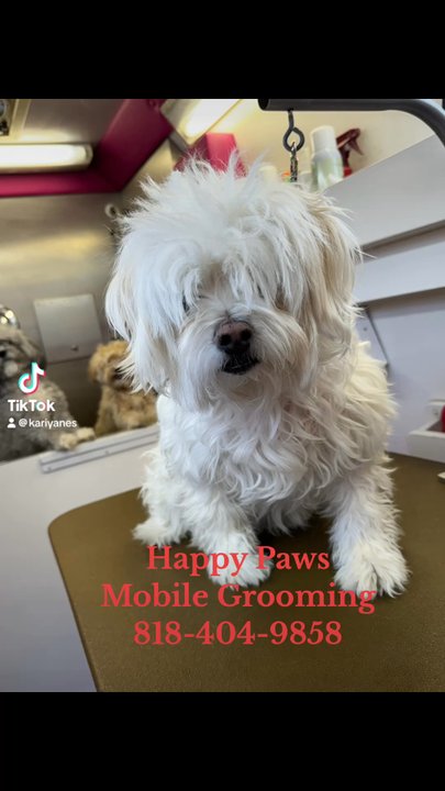 Happy Paws Mobile Grooming - Pet Groomers Near Me