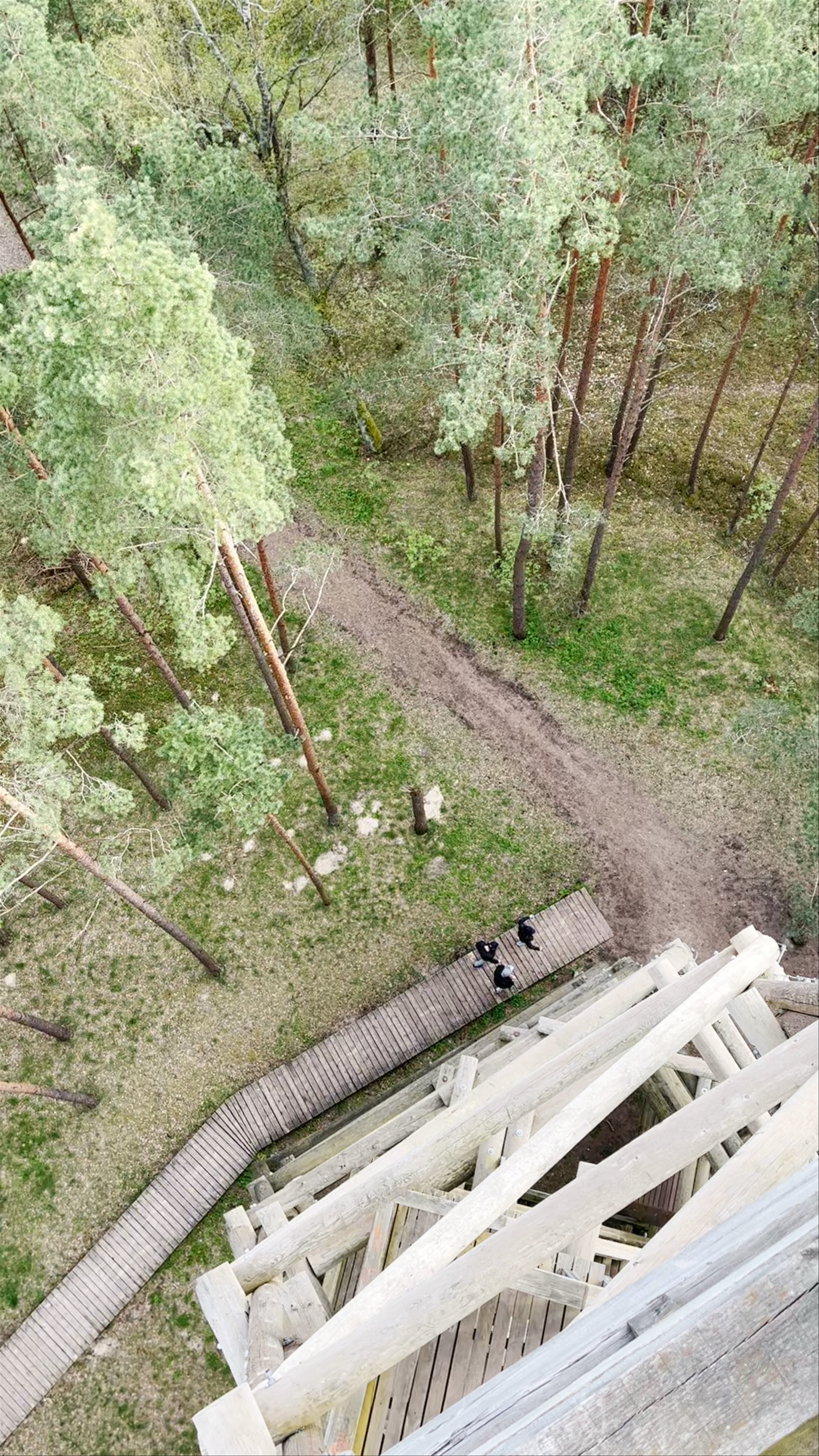 Bumbu Kalniņa Tower: A Scenic Forest Escape Near Riga