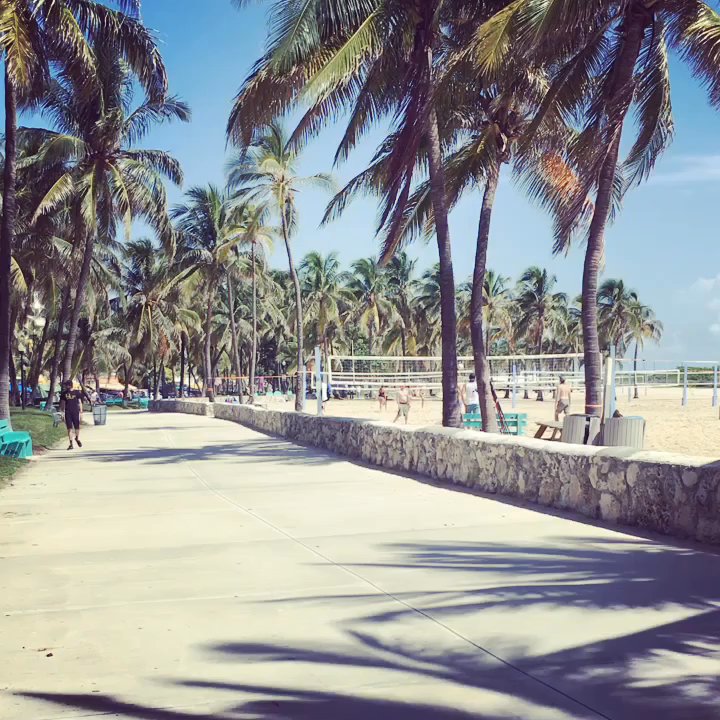 Happy With Dogs - Placing on Miami beach - Pet Training Near Me