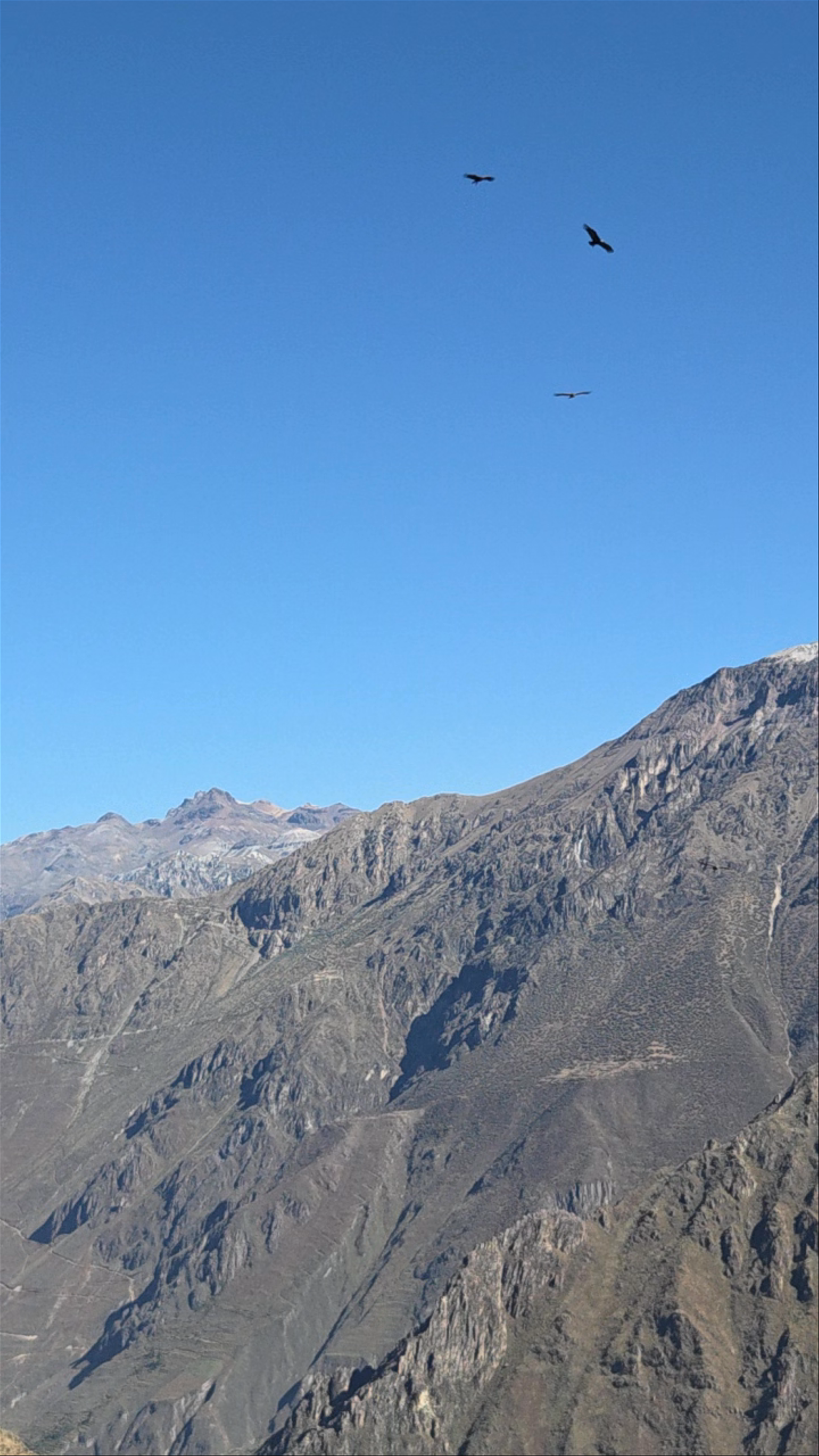 Mirador Cruz del Cóndor