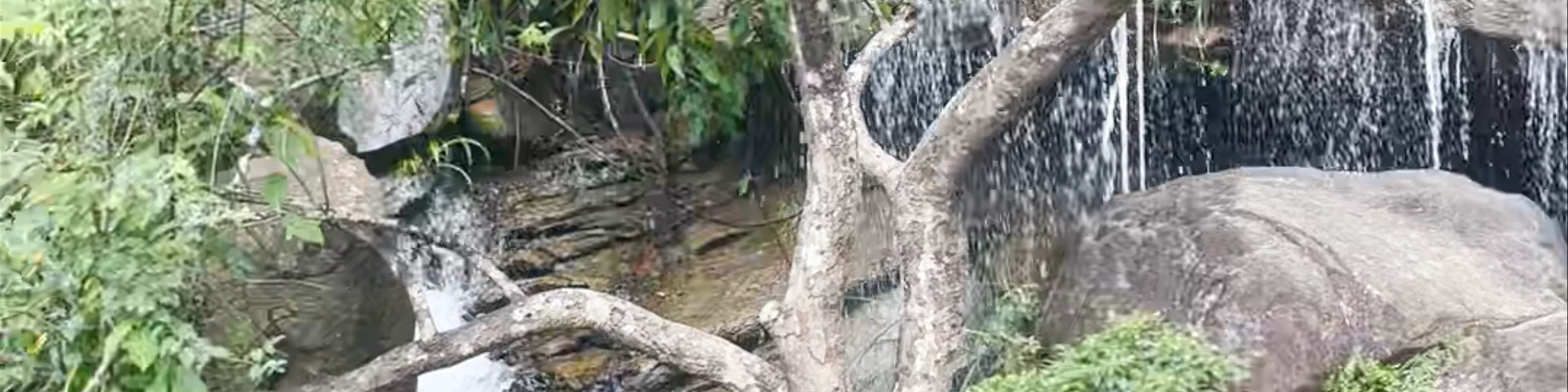 Tai Shui Hang waterfall hike