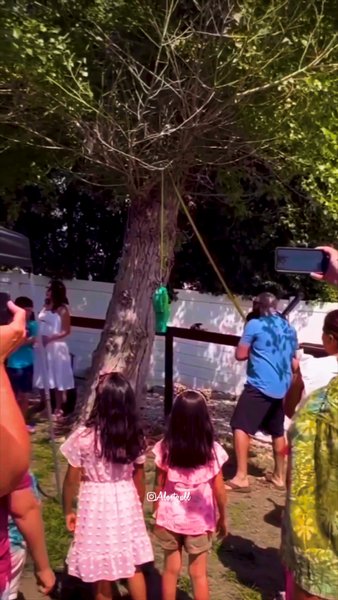 Photo of Incredible India in 