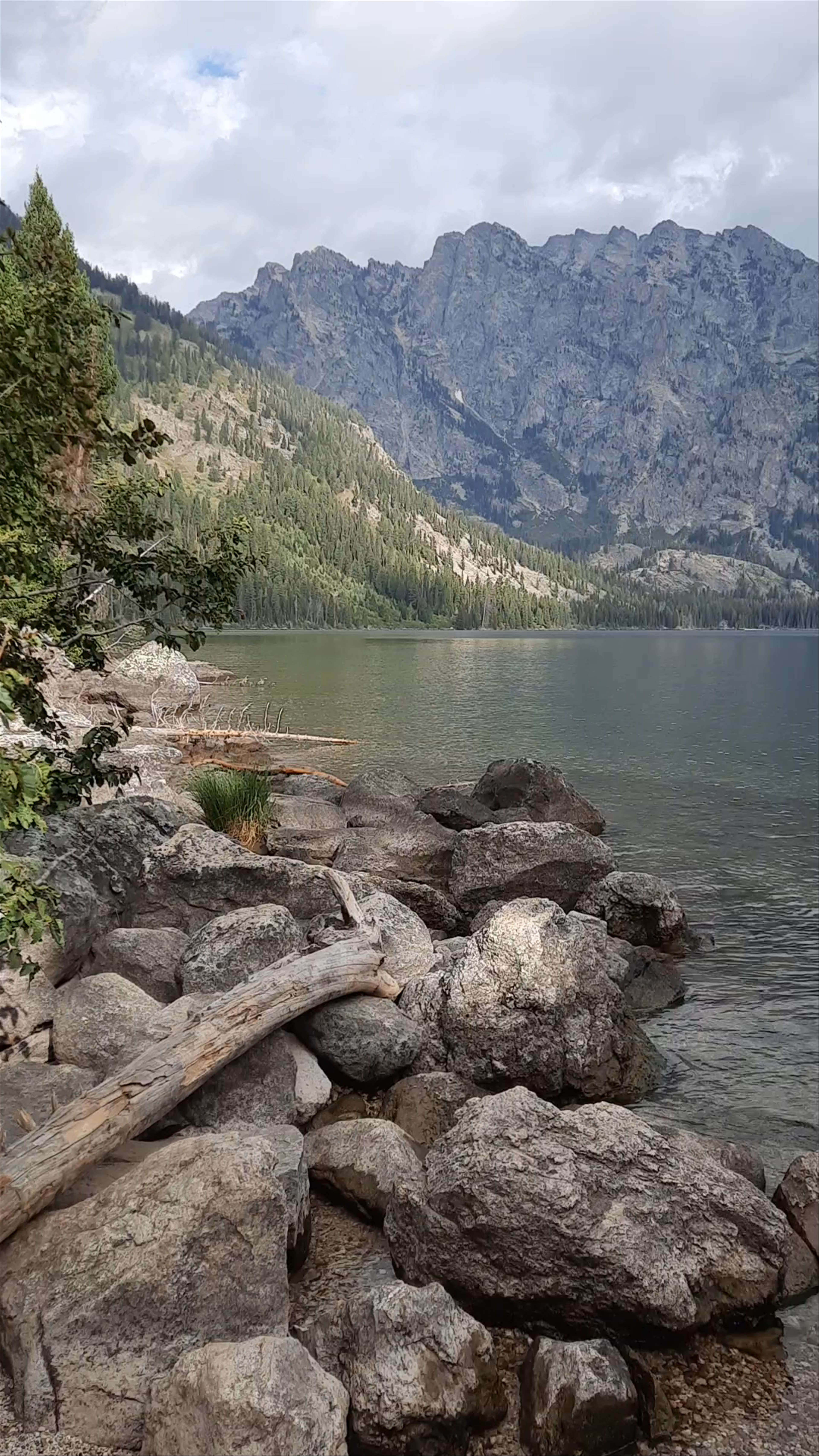 Jenny Lake