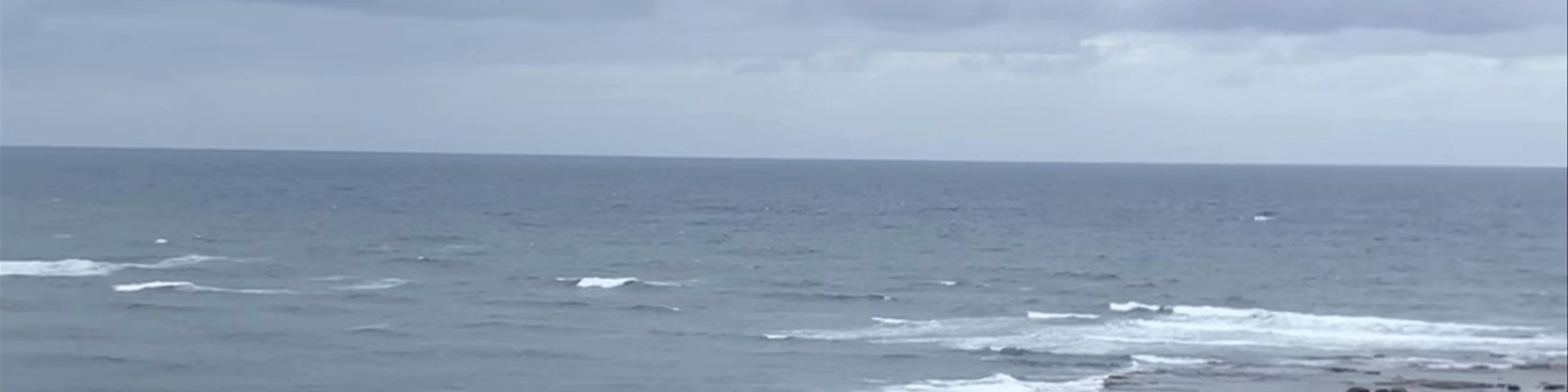 Long Reef Headland