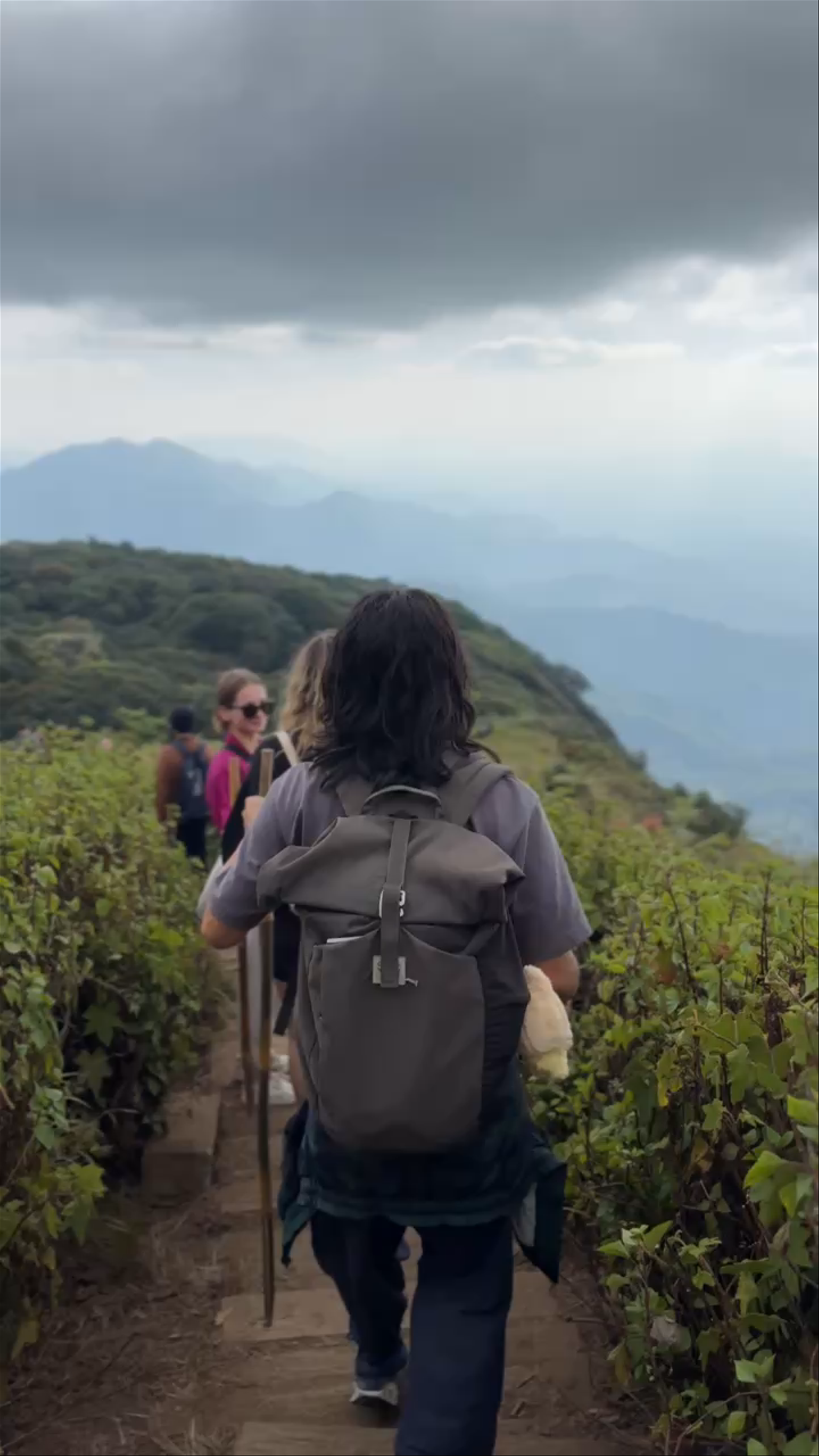 Kew Mae Pan nature trail