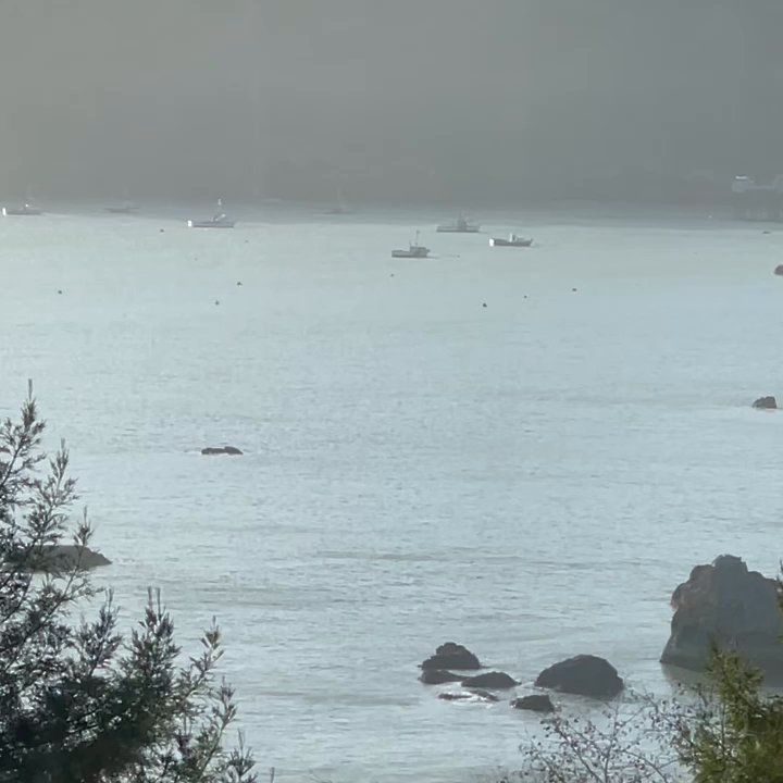 The Sunset Restaurant - fishing vessels on Trinidad harbor - Seafood Near Me - Trinidad, California