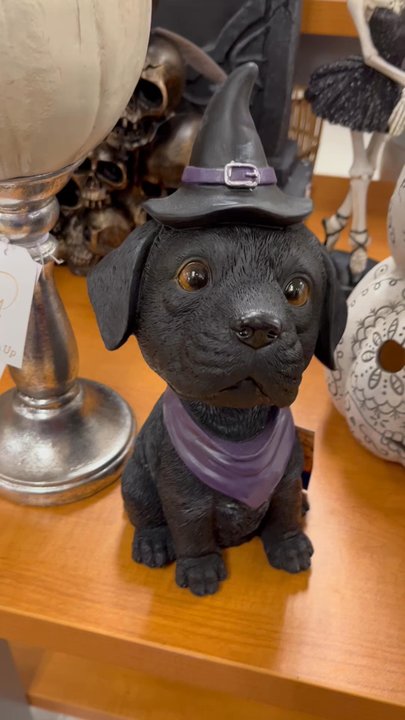 TJ Maxx - Halloween dog bobble head - Discount Store Near Me - Augusta, Georgia