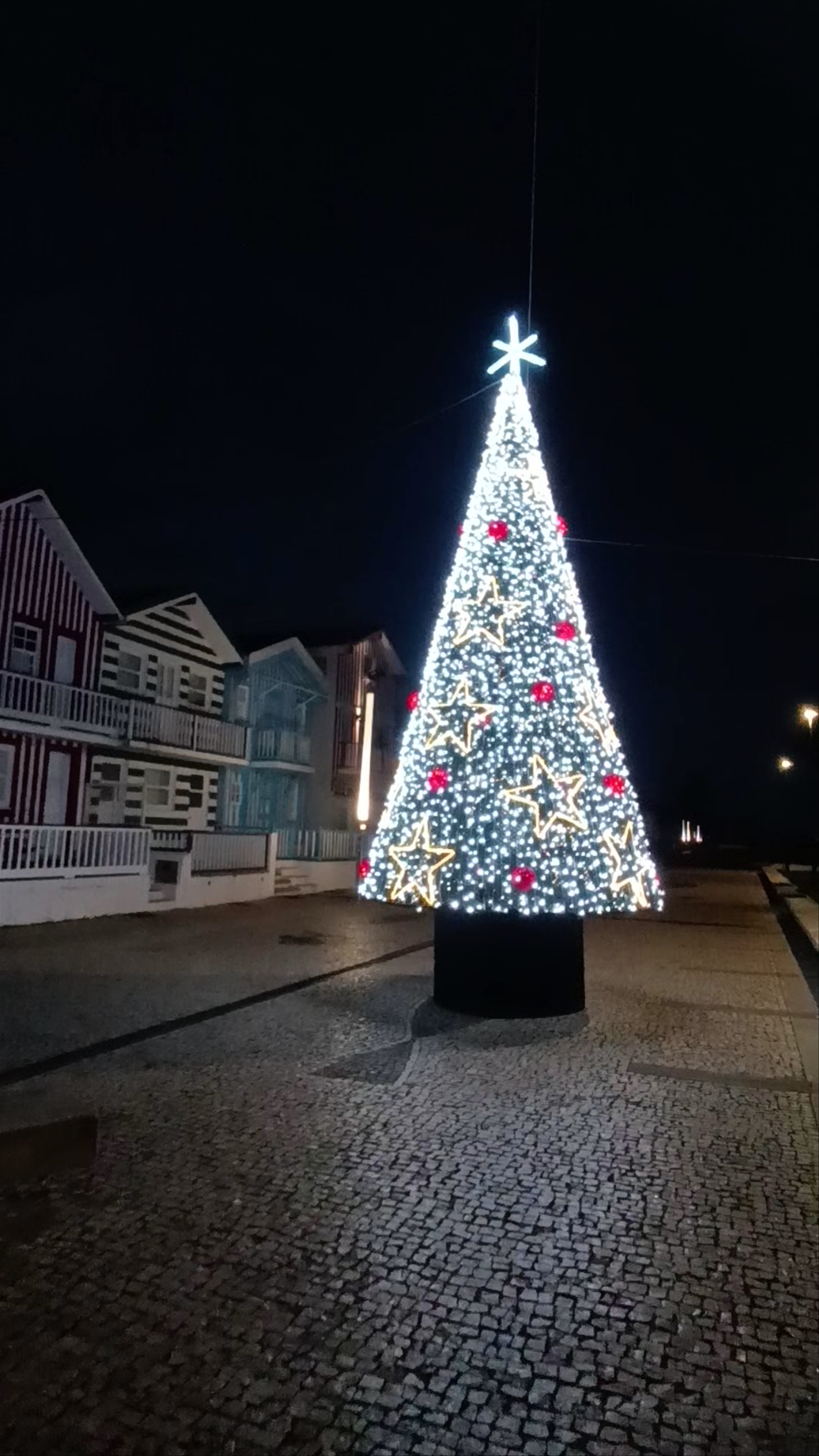 Casas Típicas da Costa Nova