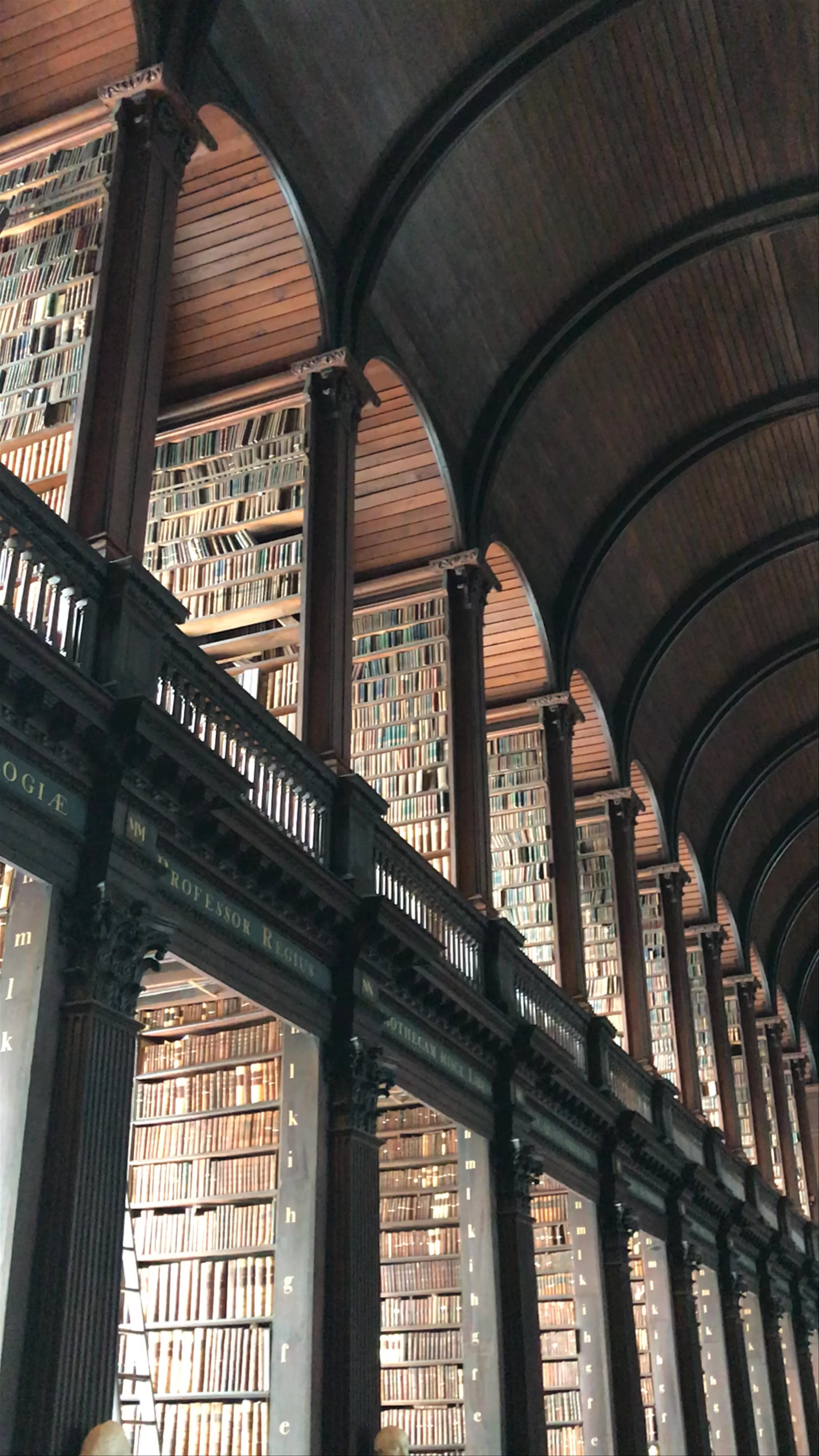 The Book of Kells, College Green