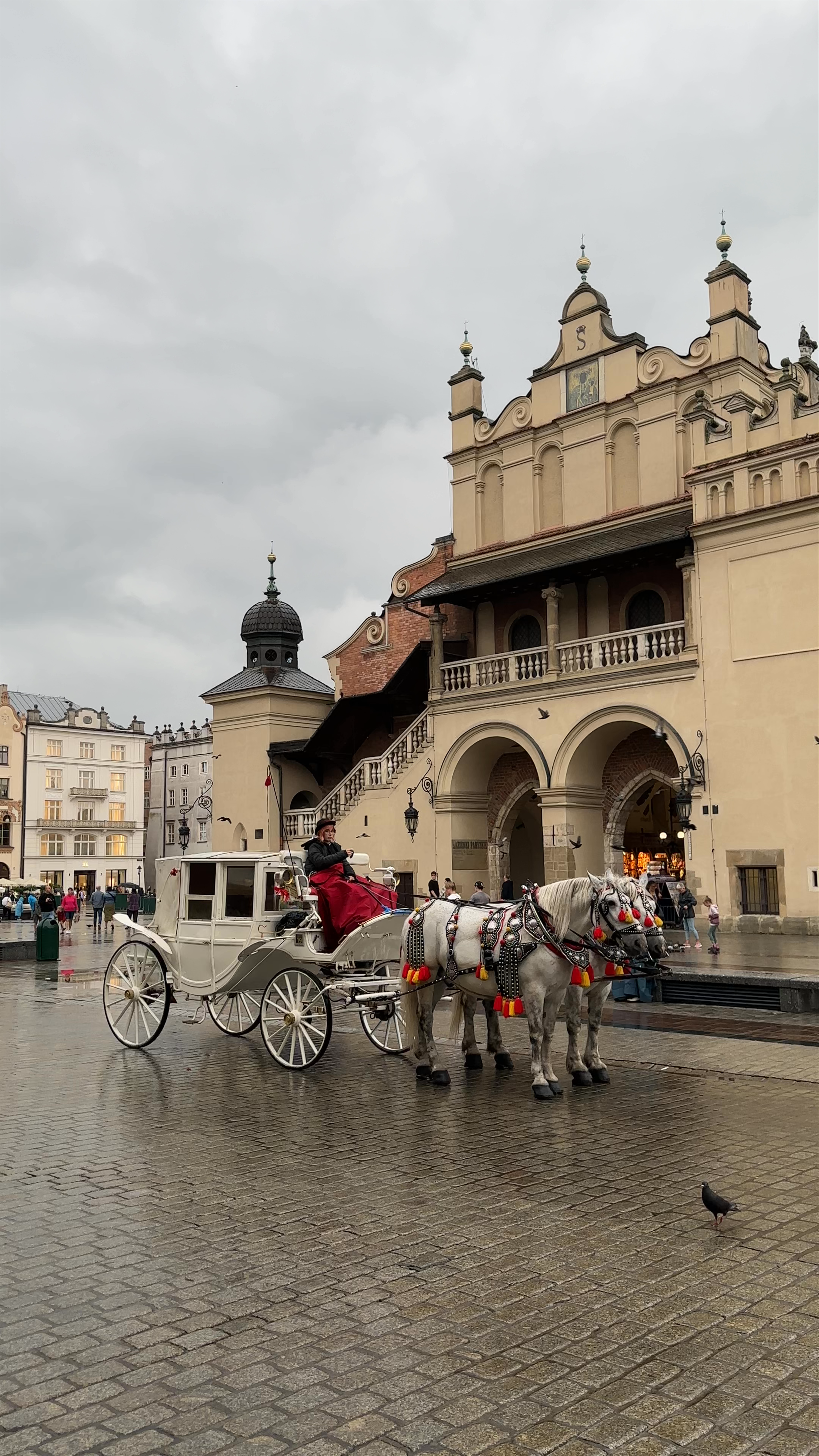 Magical Horse Carriage Ride in Kraków’s Main Square