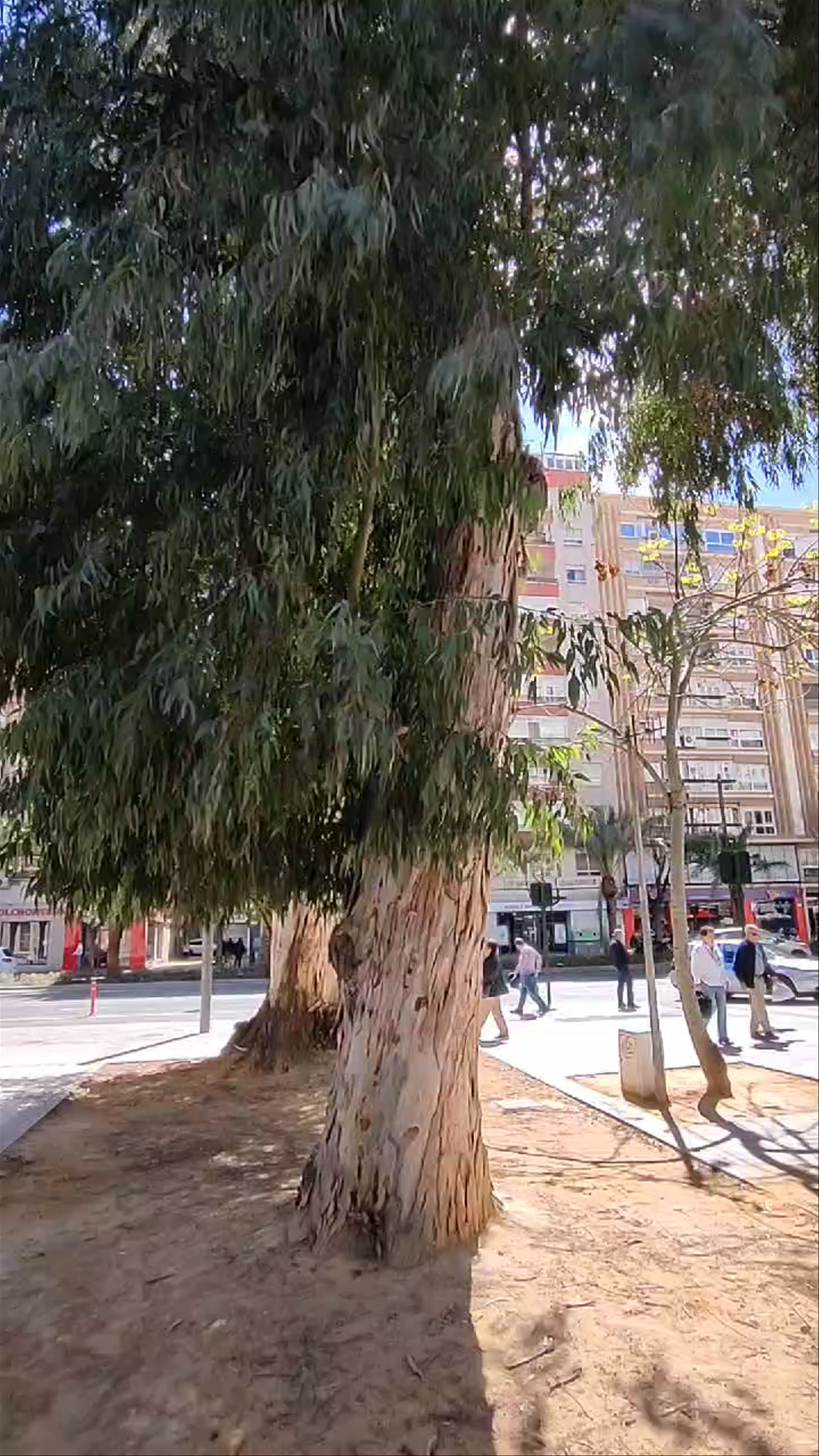Centro de Cultura Contemporánea Cárcel Vieja