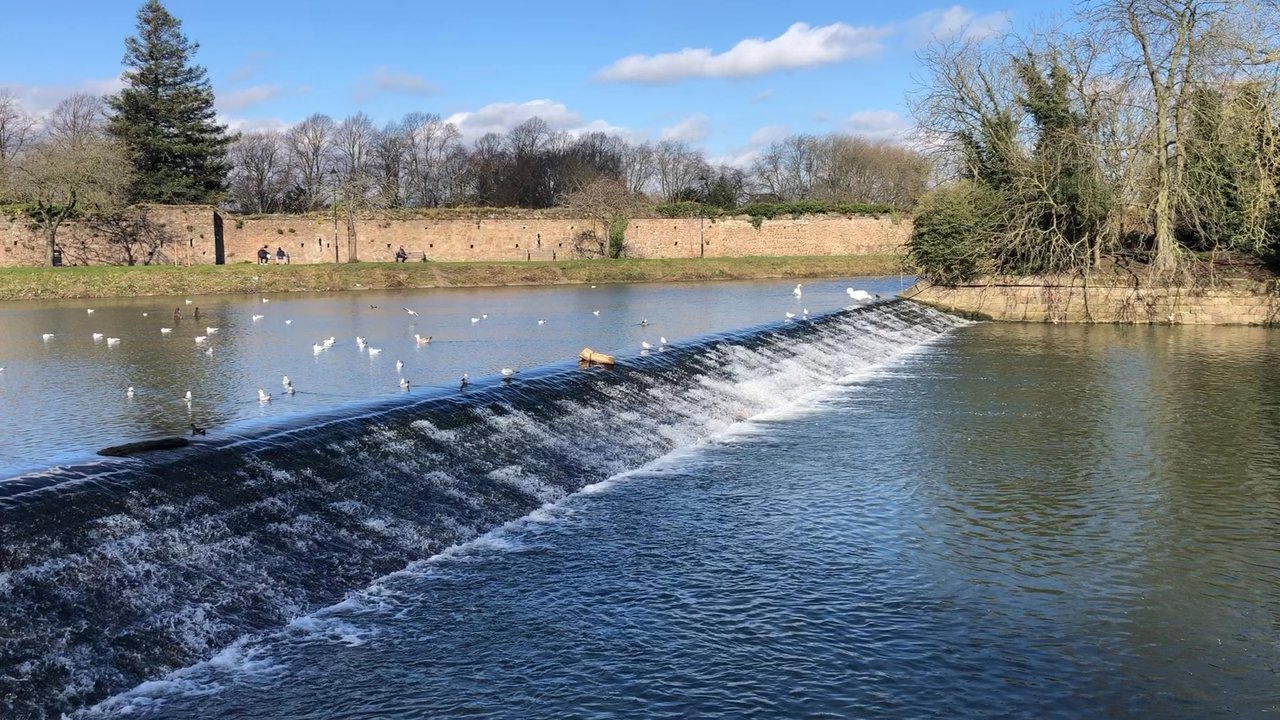 Abbey Park - Wildlife and scenic backdrop - Parks Near Me - Leicester, LEC