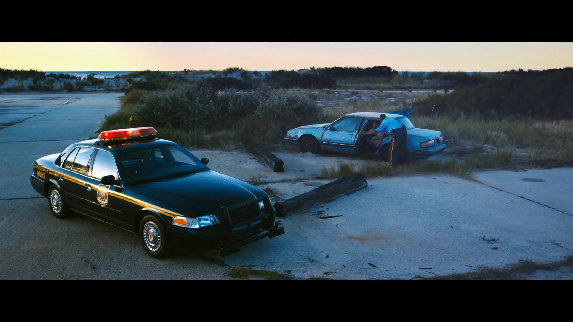 Blue Ruin