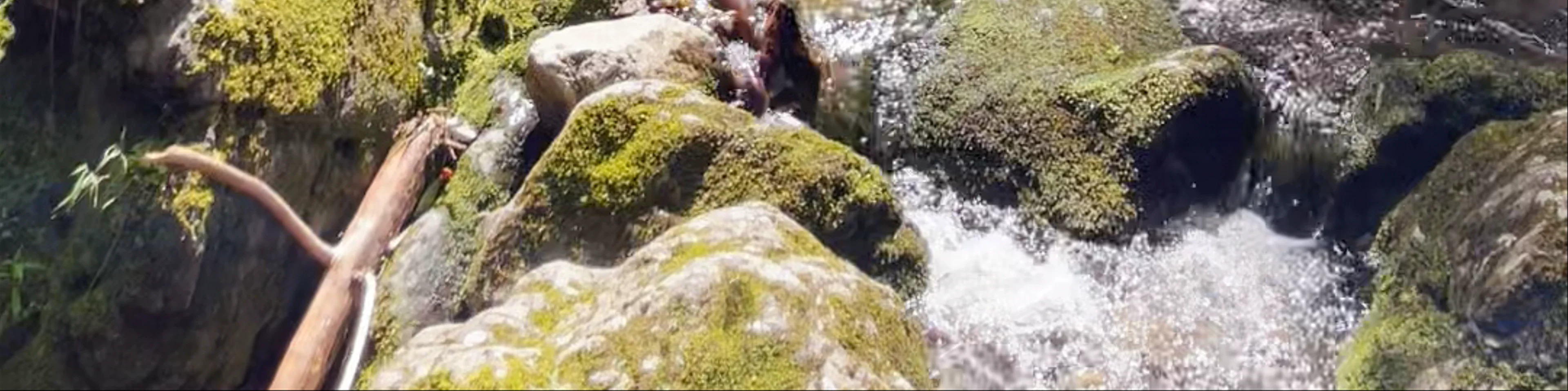 Dickson Falls Trailhead
