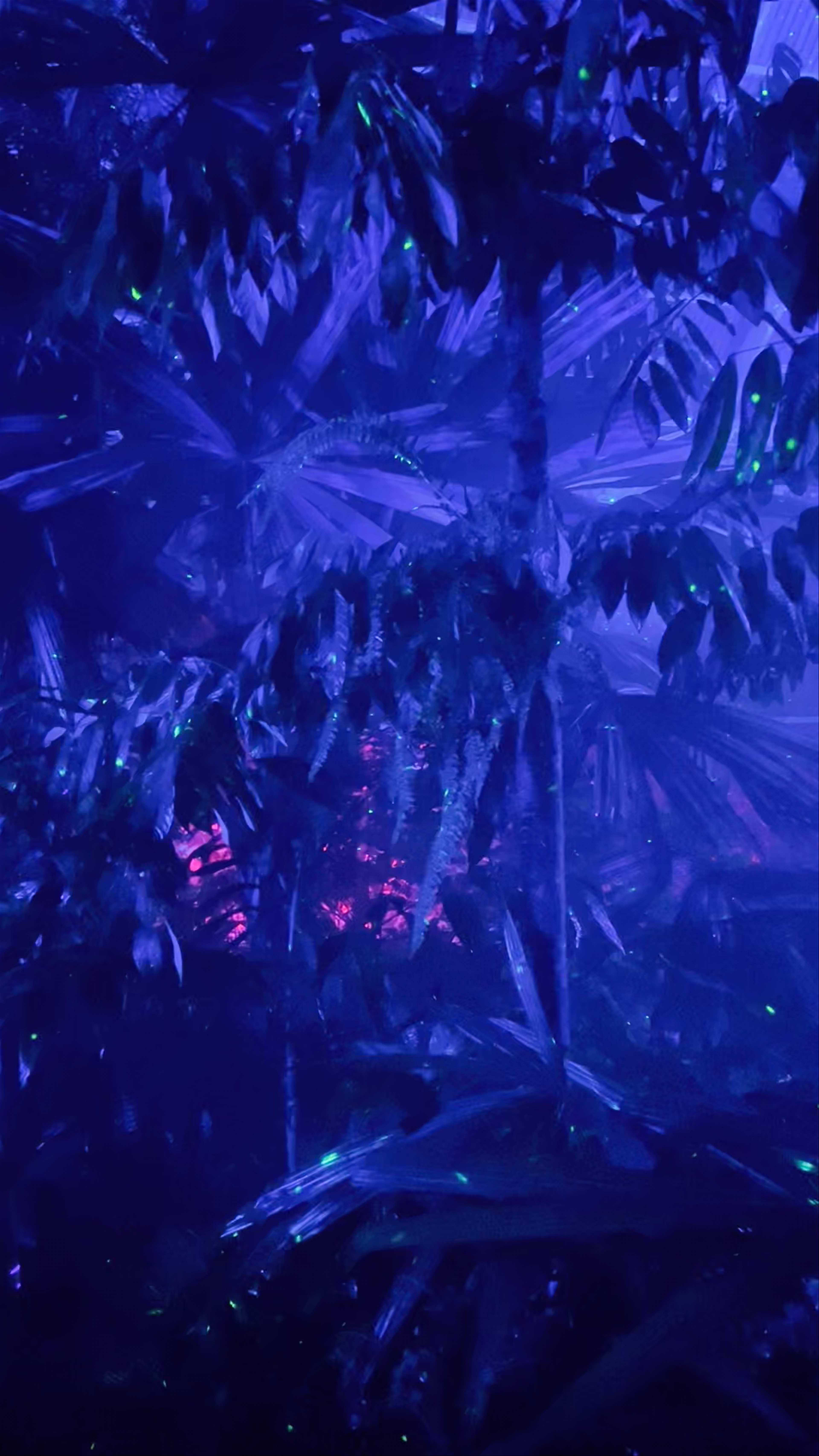 The NightGarden Experience