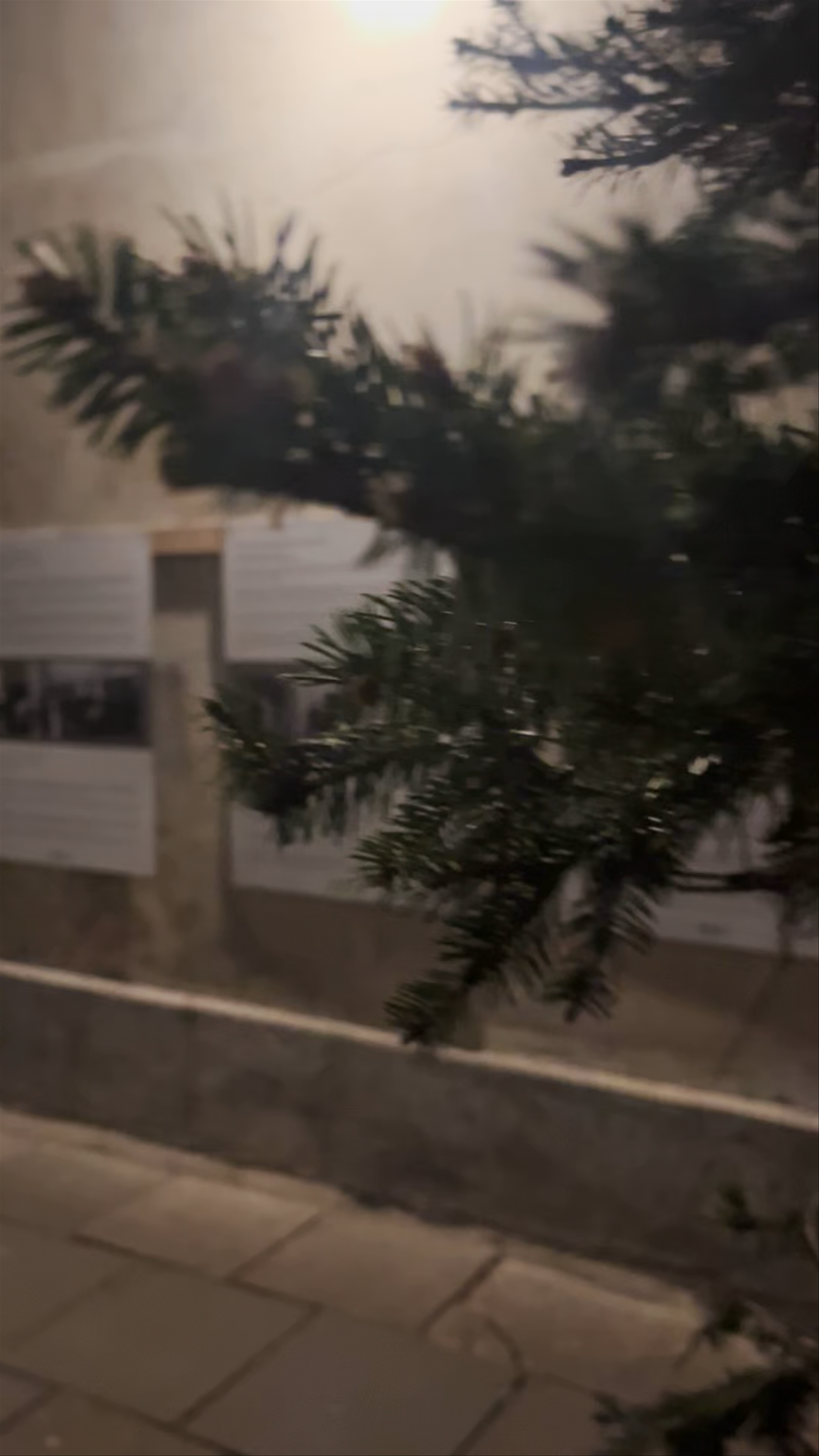 Schindler's List Passage: A Night of Reflection in Kraków