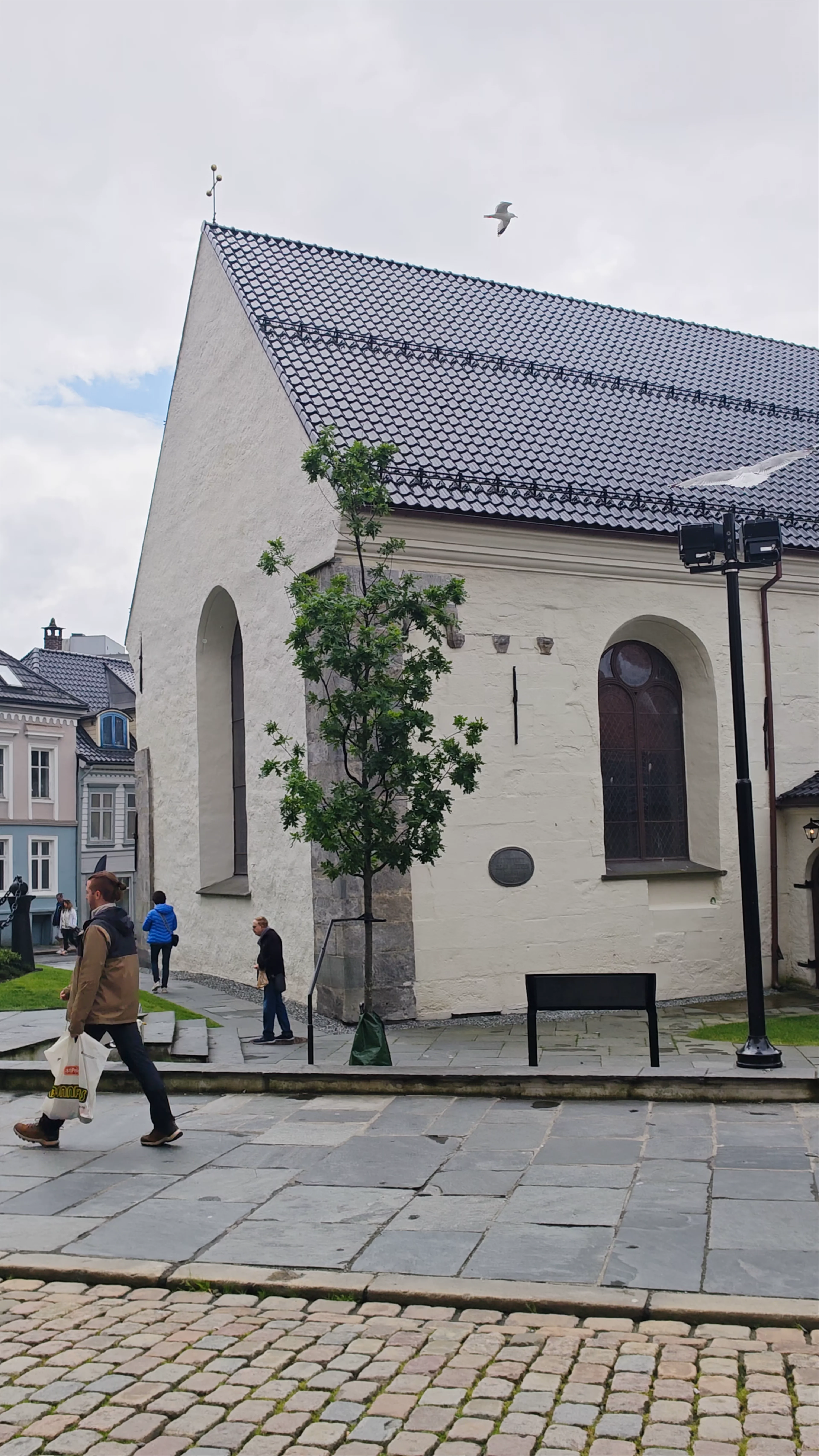 Cathedral Vågsalmenningen