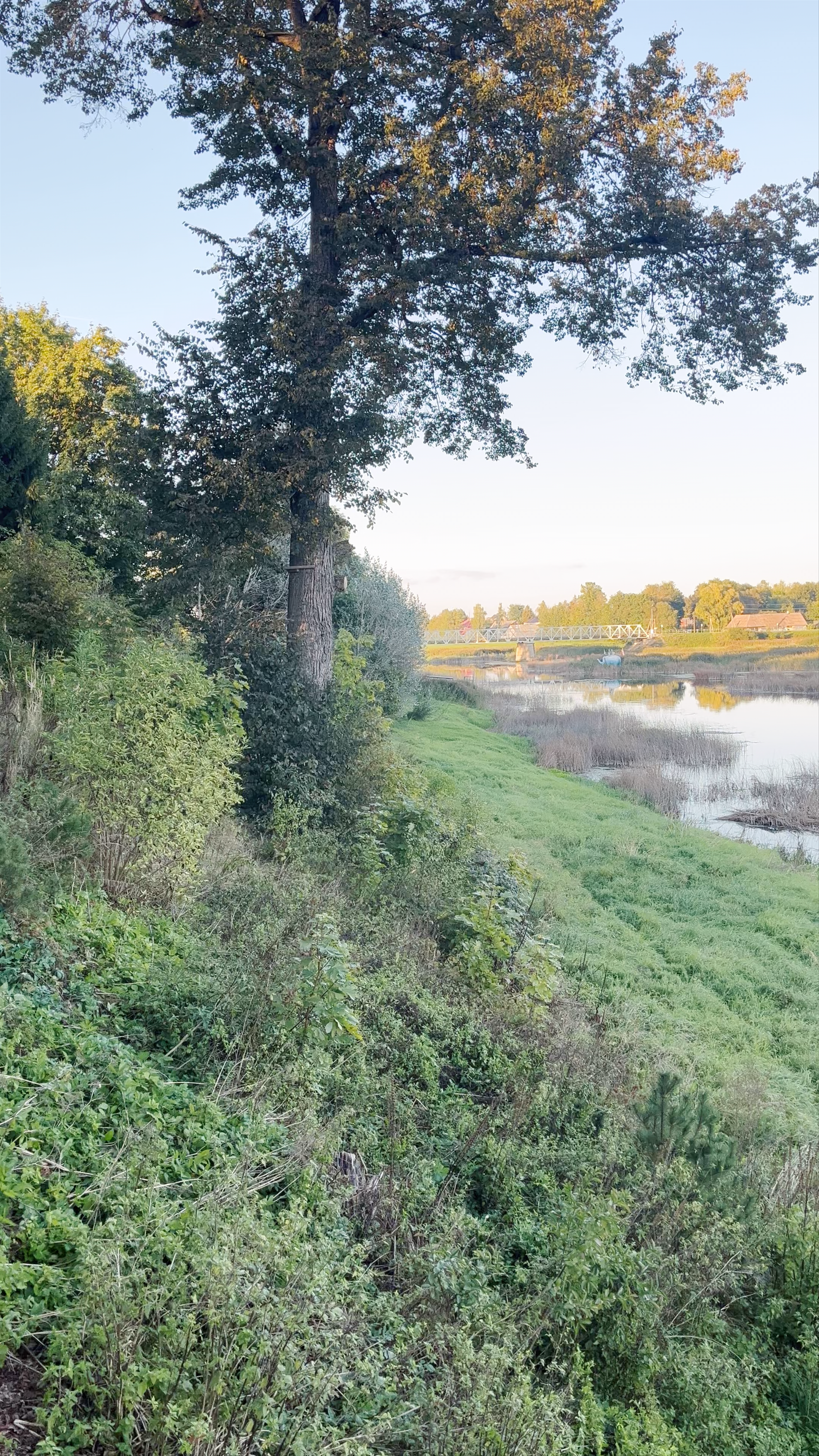 Peaceful Riverside and Verdant Nature at Vandens Instaliacijos, Saločiai, Lithuania
