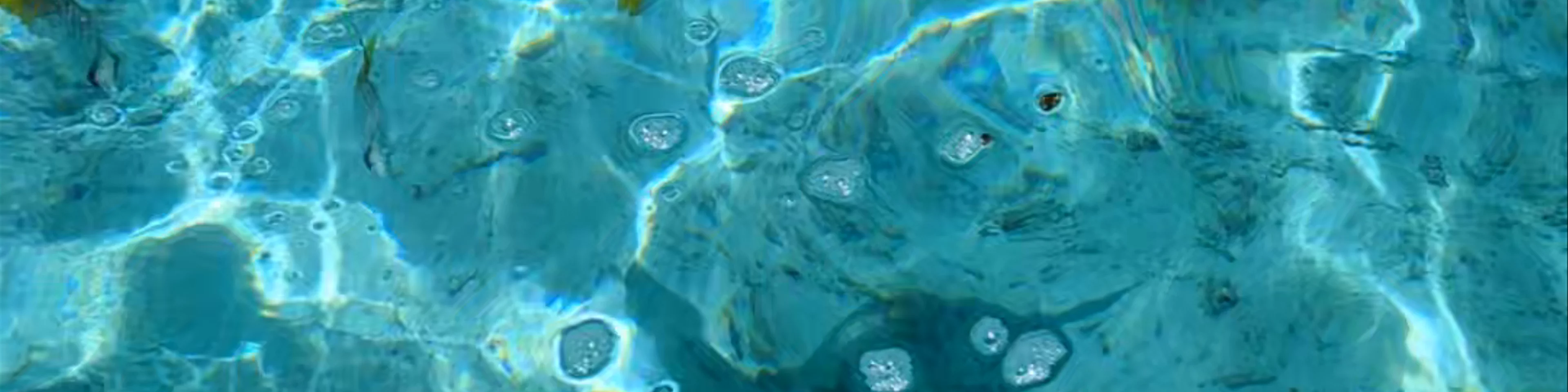 Sting Ray & Black Tip Snorkeling Area