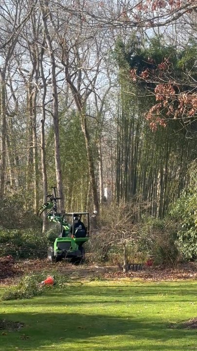 Fredy's Tree Services - Tree Services Near Me - Mays Landing, New Jersey