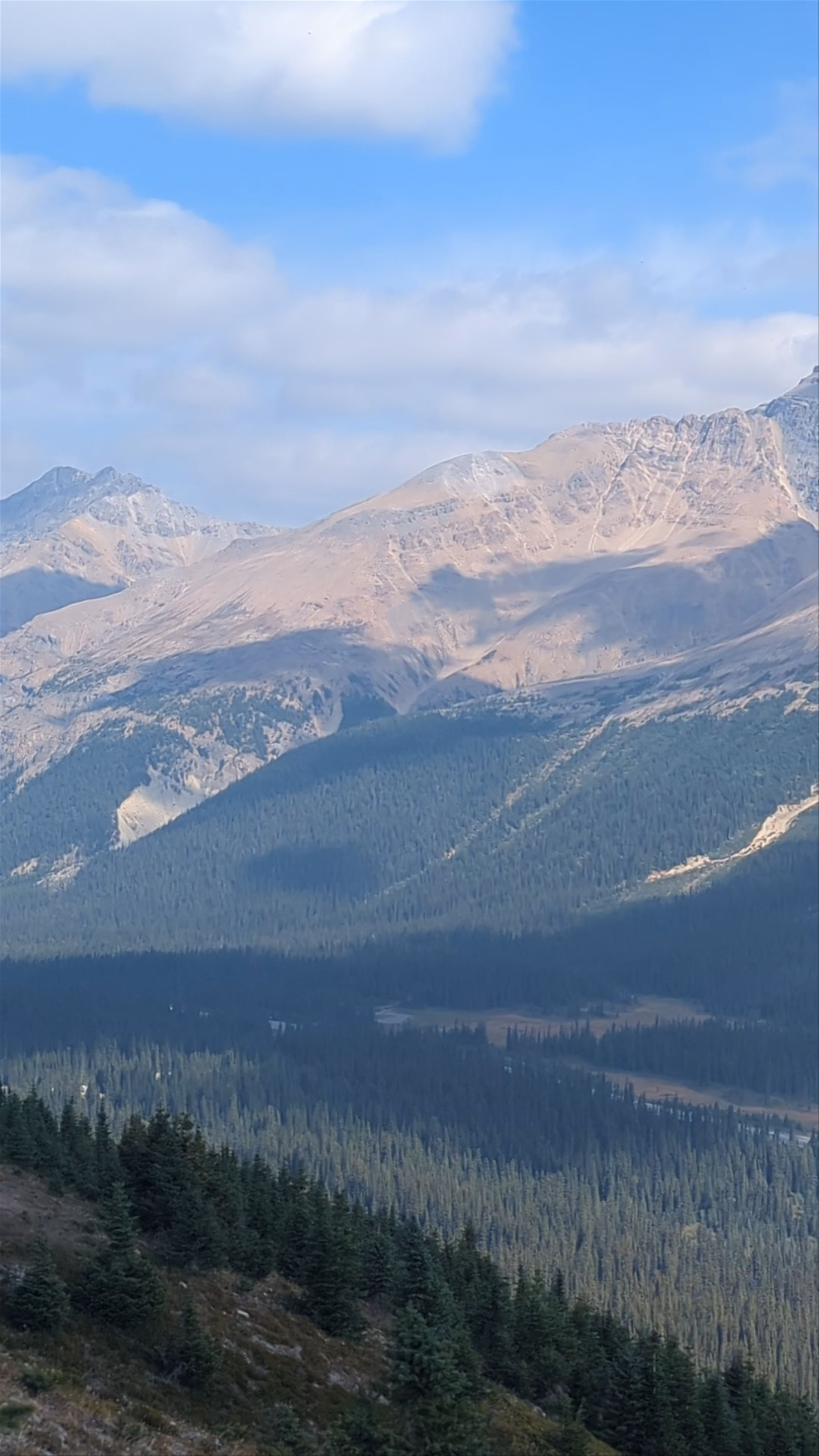 Bow Summit and Peyto Lake Viewpoint Trailhead