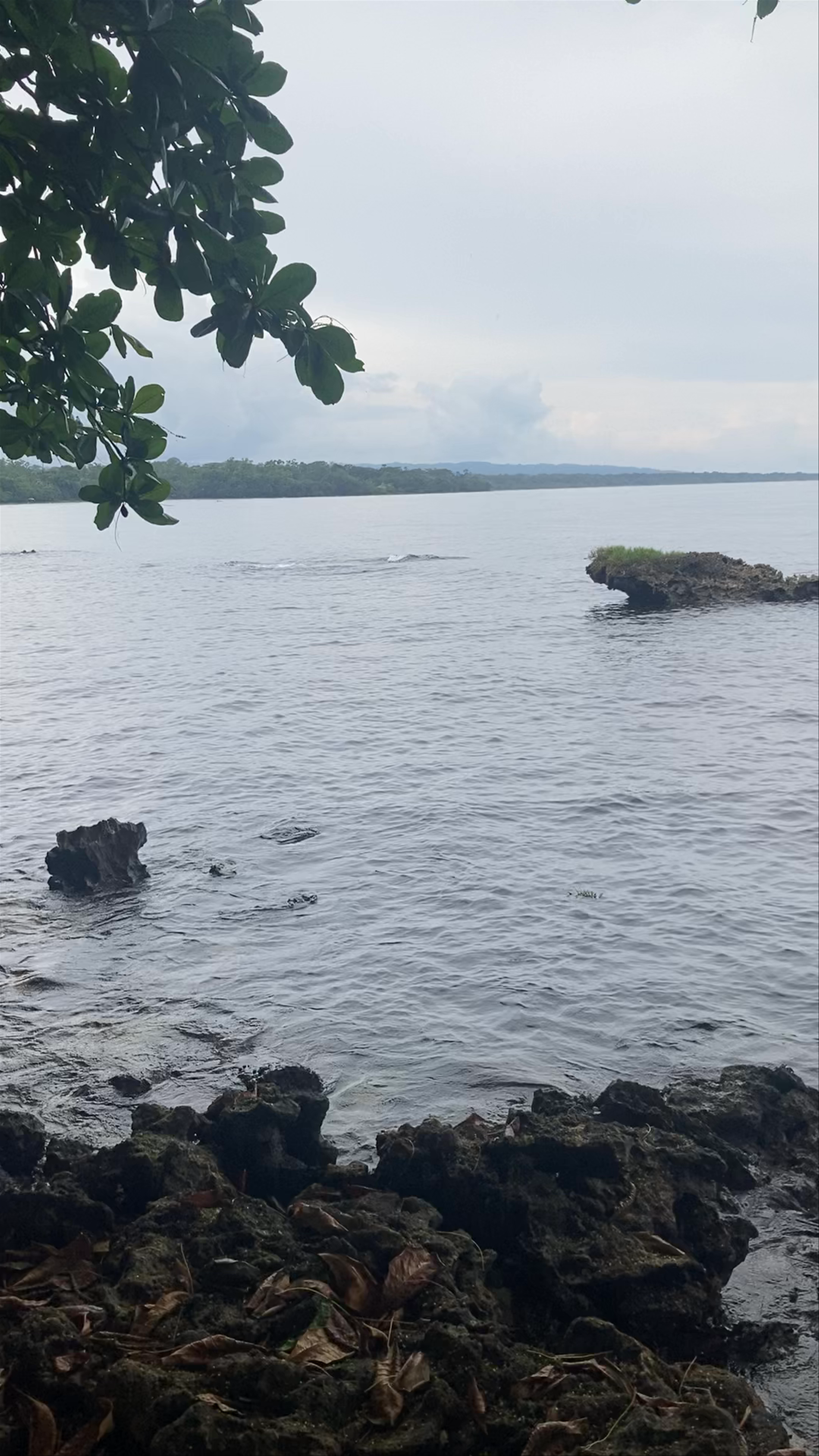 Restaurante Pizzeria Cahuita