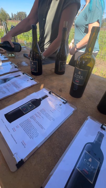 Ceja Vineyards - So many delicious wines - Wineries Near Me - Napa, California