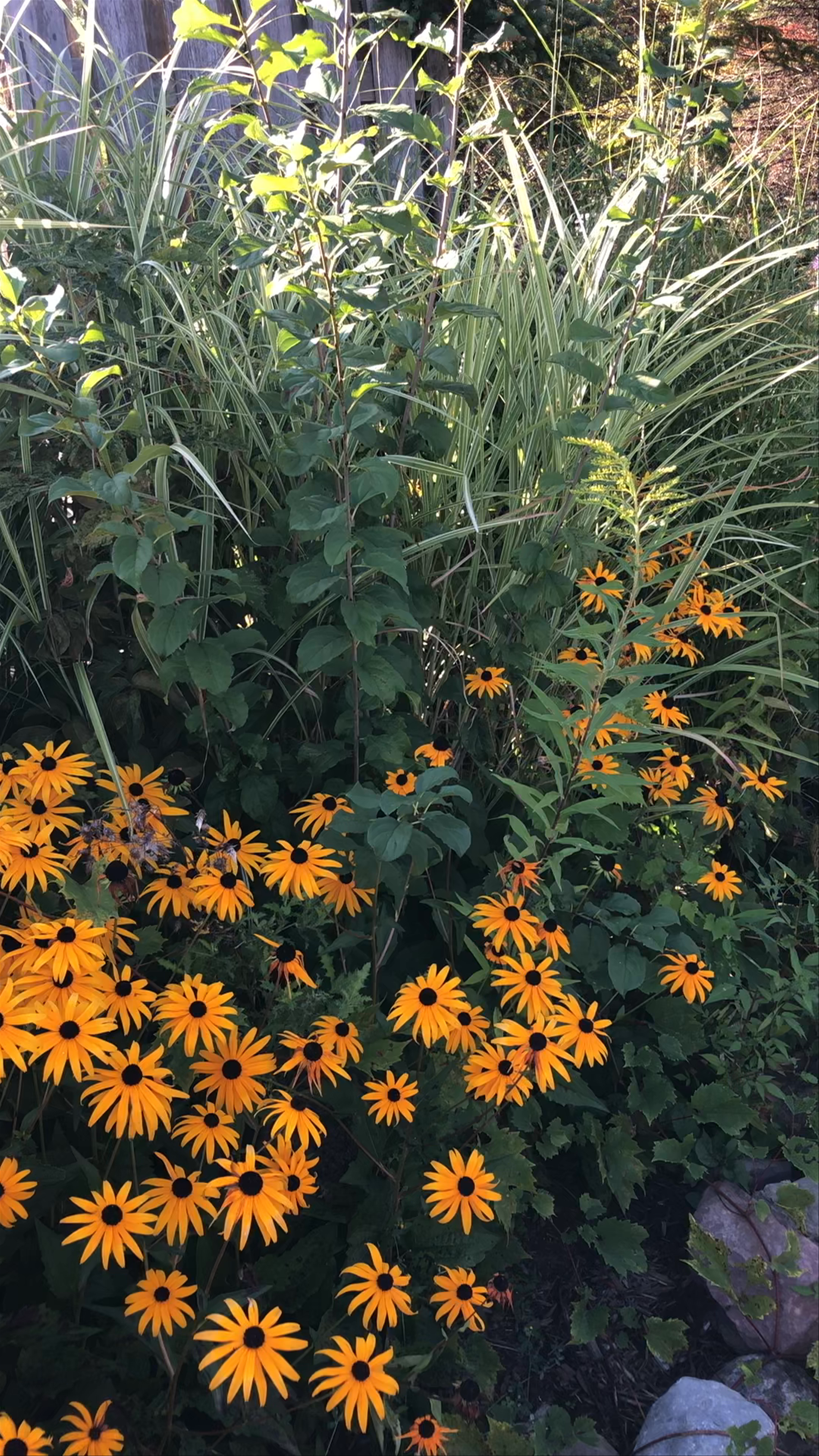 Serene Garden Escape in Lansing, New York