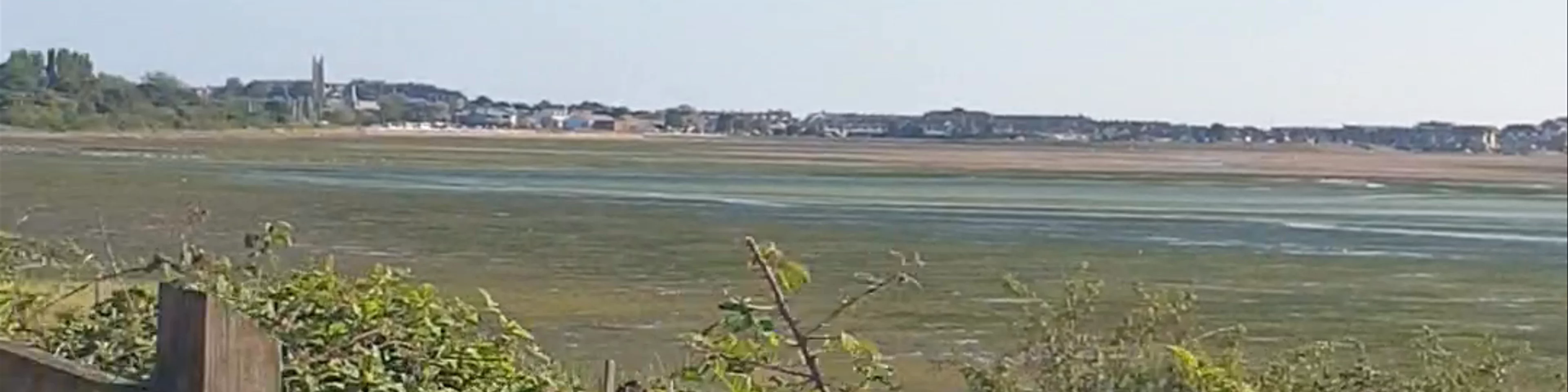 Exe Estuary