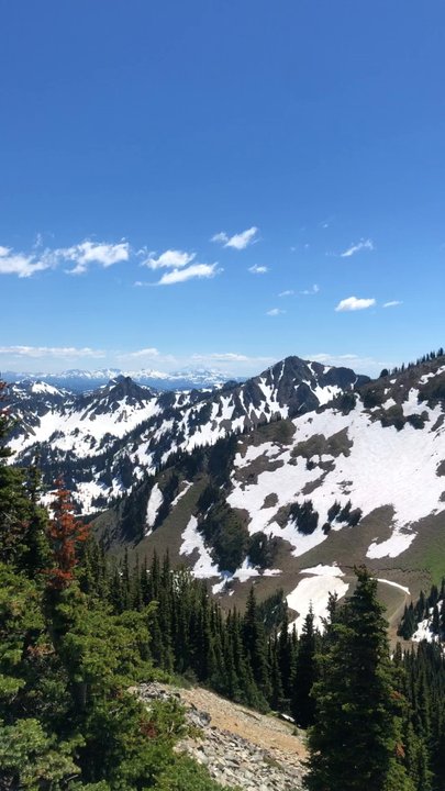 Summit House Restaurant - American Near Me - Enumclaw, Washington