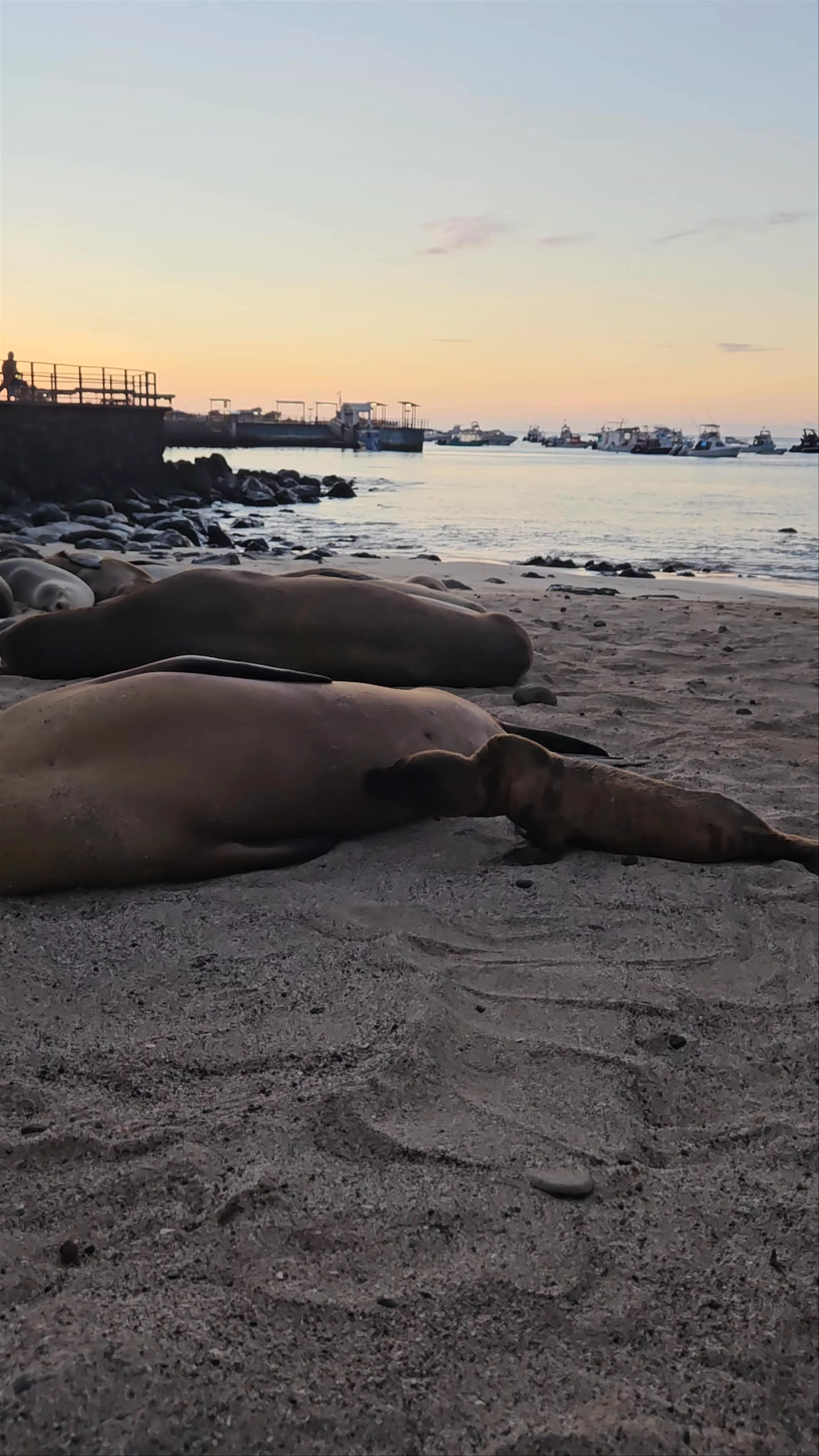 Puerto Baquerizo Moreno