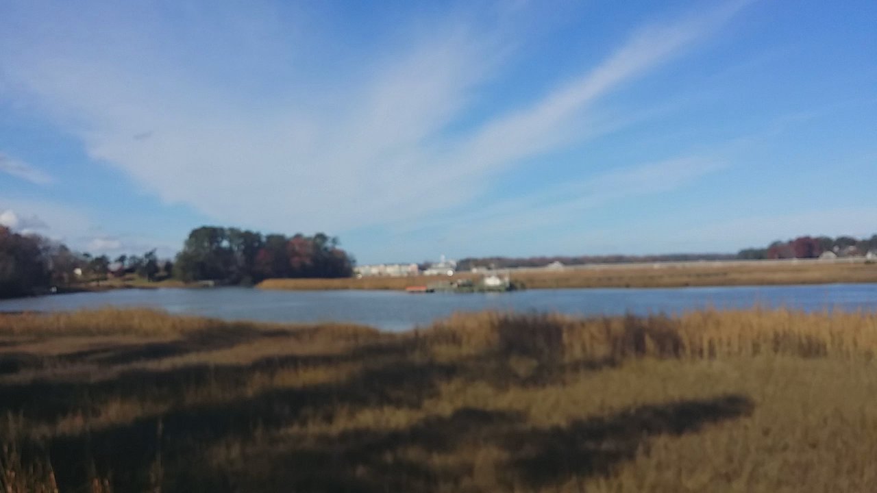 Windsor Castle Park - Wetlands view. - Parks Near Me - Smithfield, Virginia