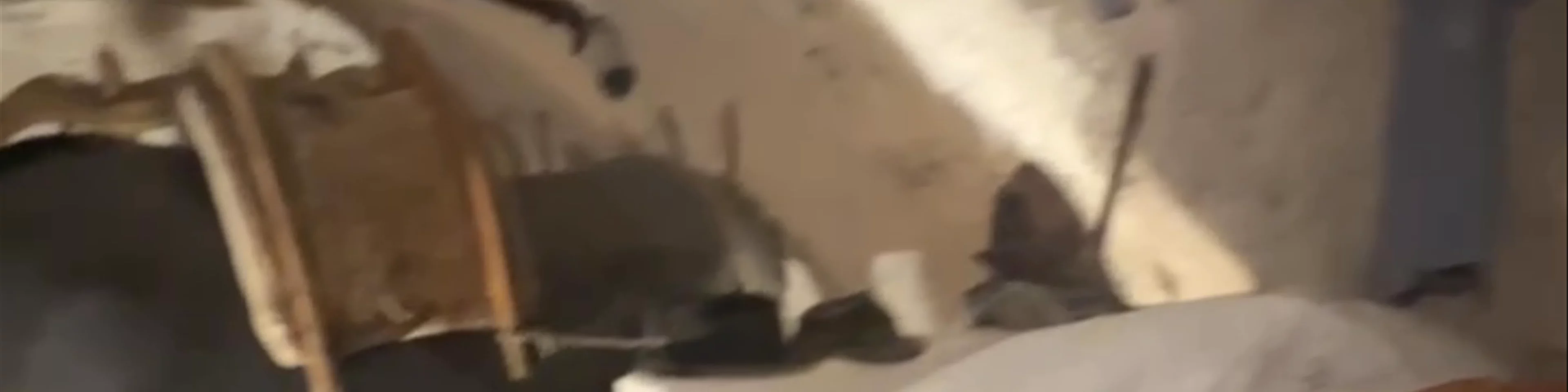 Casa Grotta nei Sassi di Matera