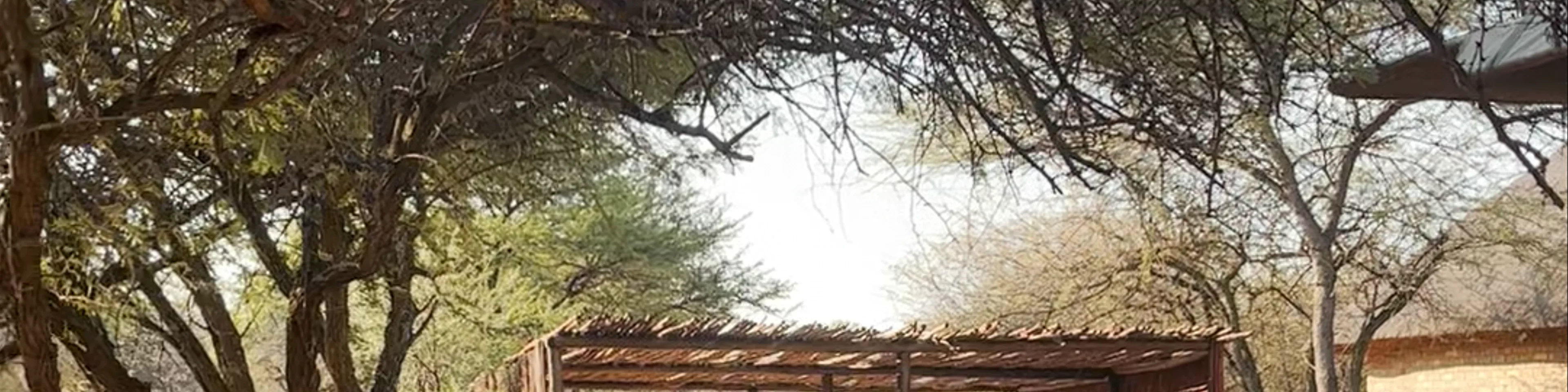 Leopardsong Game Lodge