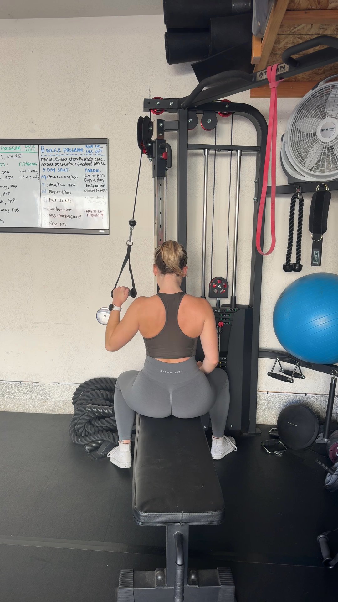 W1/D2 Push/Pull & Abs