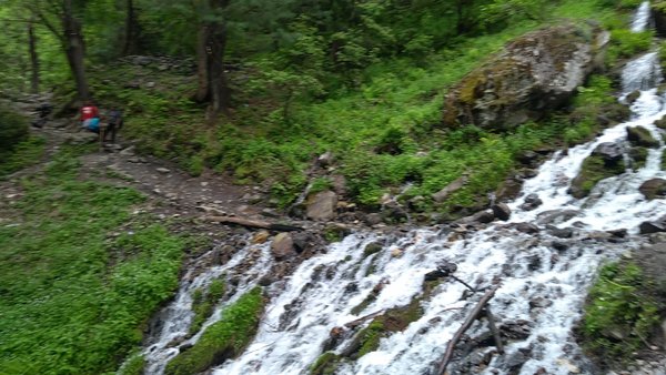 Photo of pahadi roots