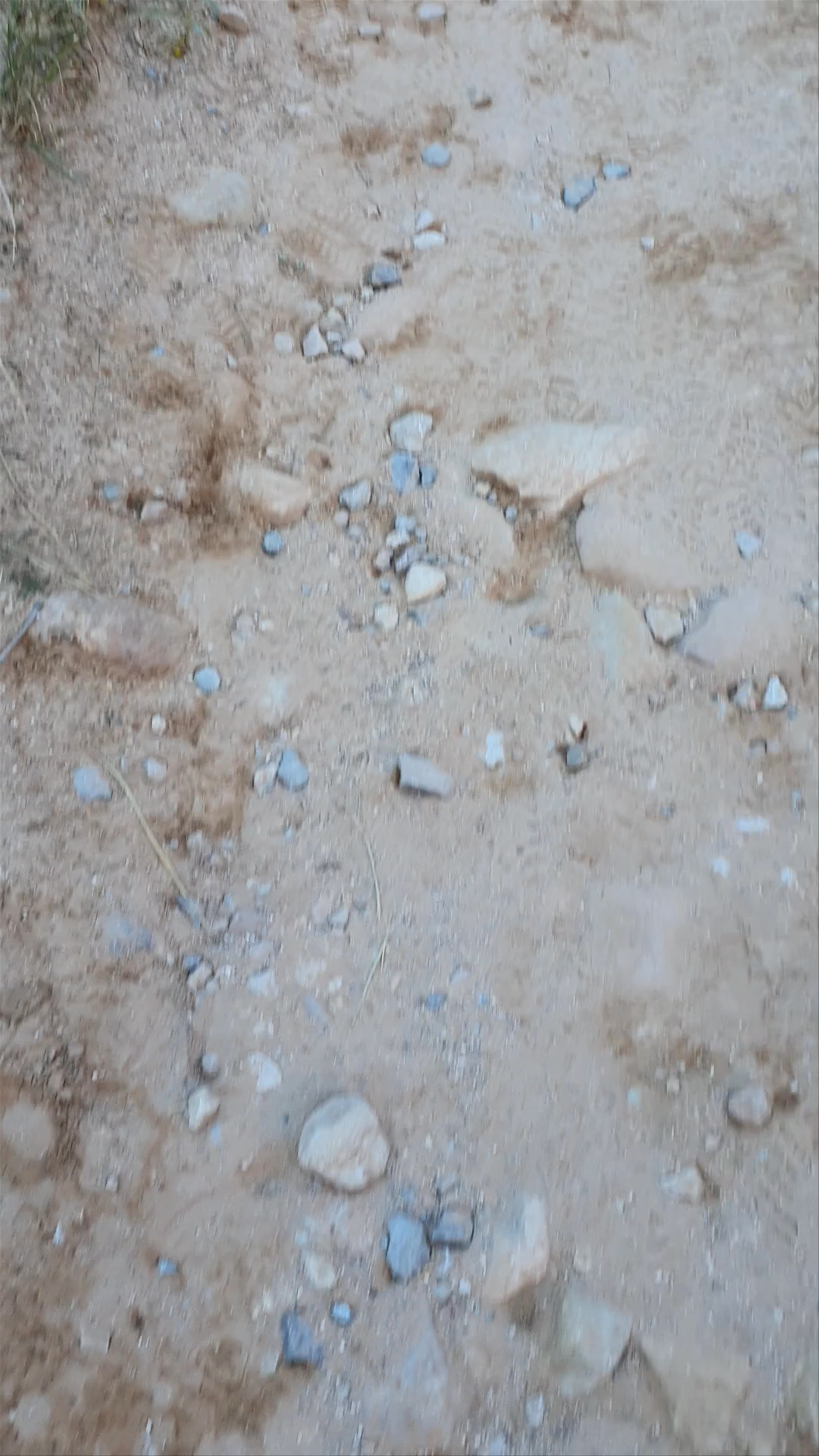 Bright Angel Trail