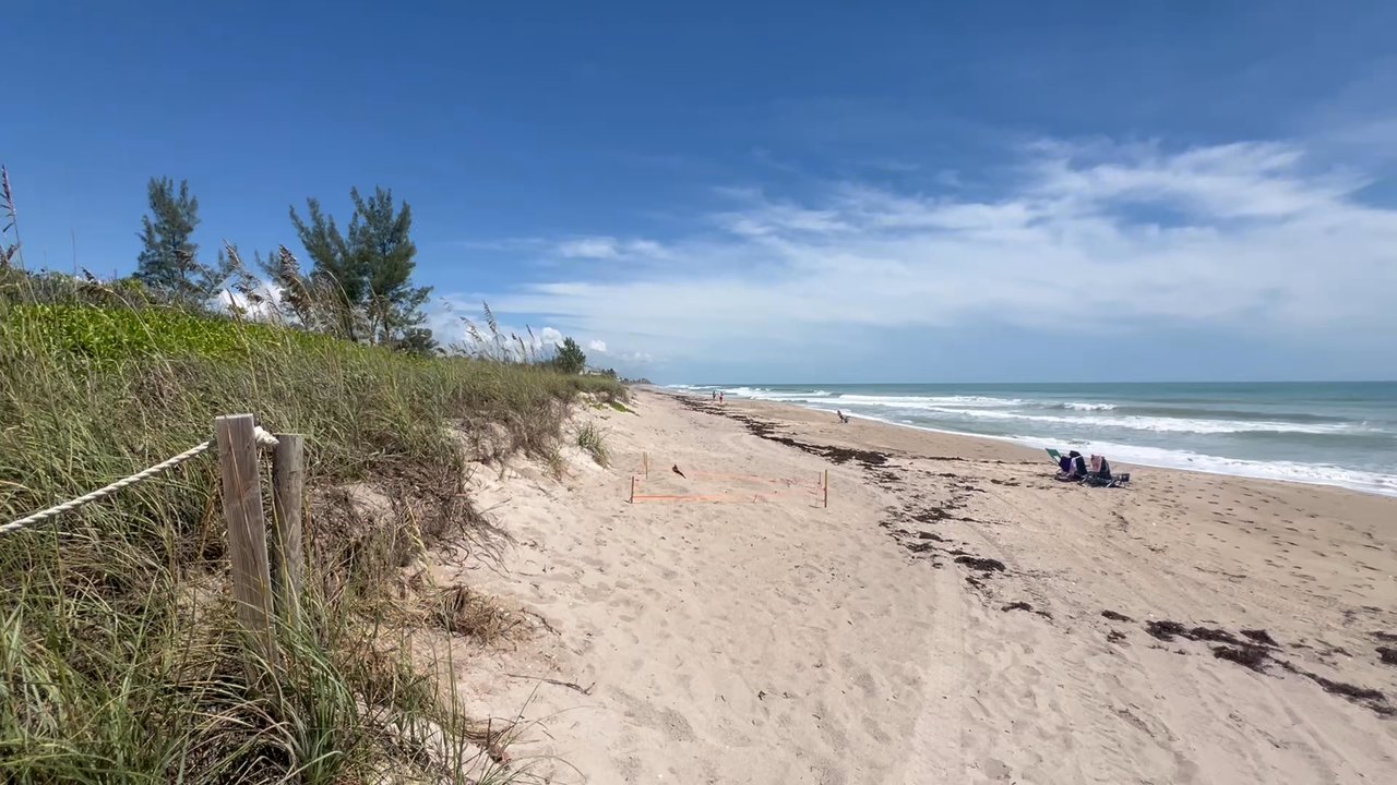 Normandy Beach - Beaches Near Me - Jensen Beach, Florida