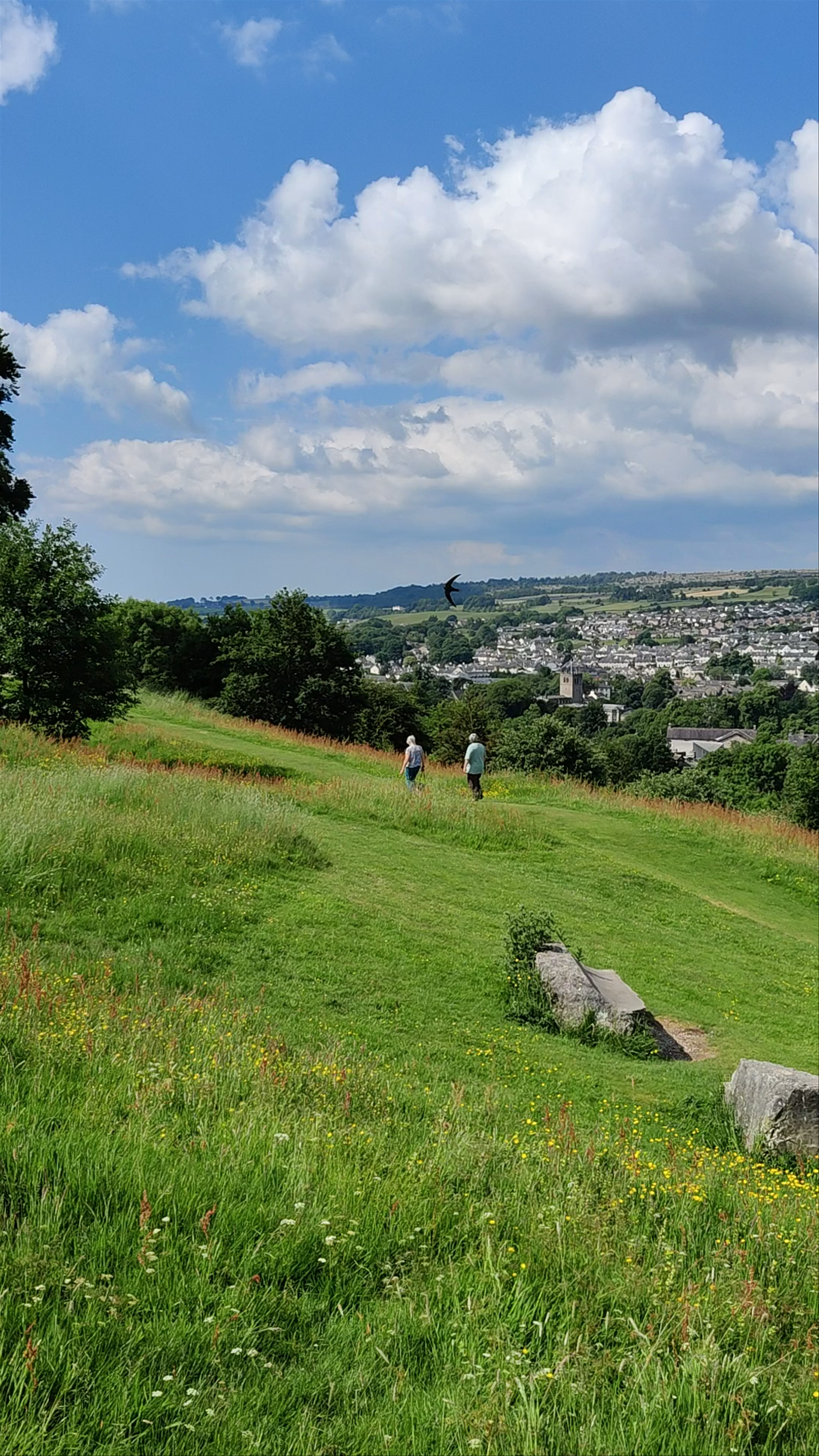 Scenic Countryside Walk in Kendal, United Kingdom