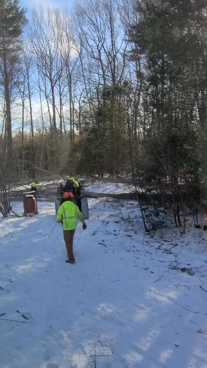 Bolduc Tree Service - Tree Services Near Me - Fremont, New Hampshire
