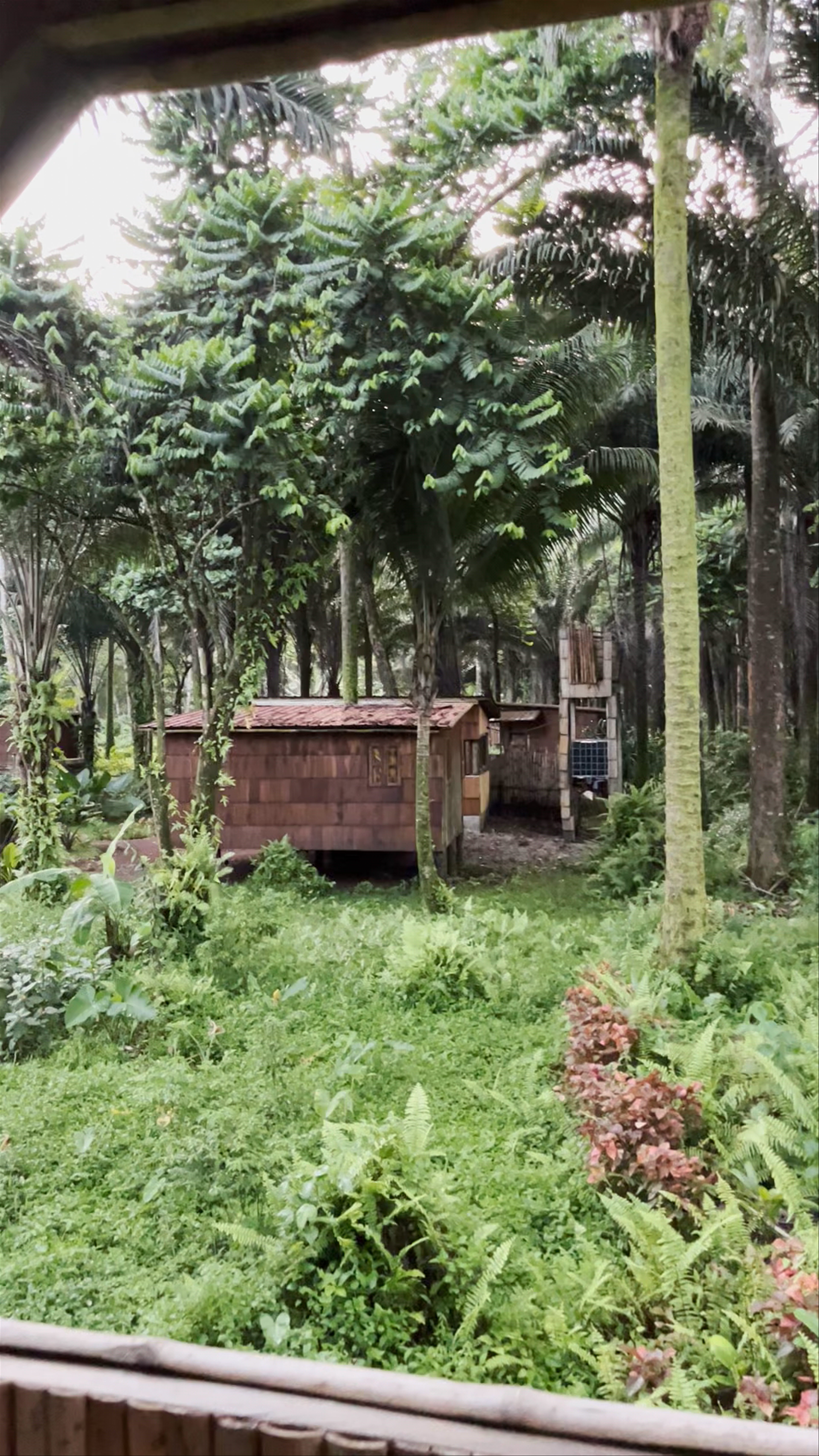 Lush Rainforest Escape at Monte Mario, São Tomé and Príncipe