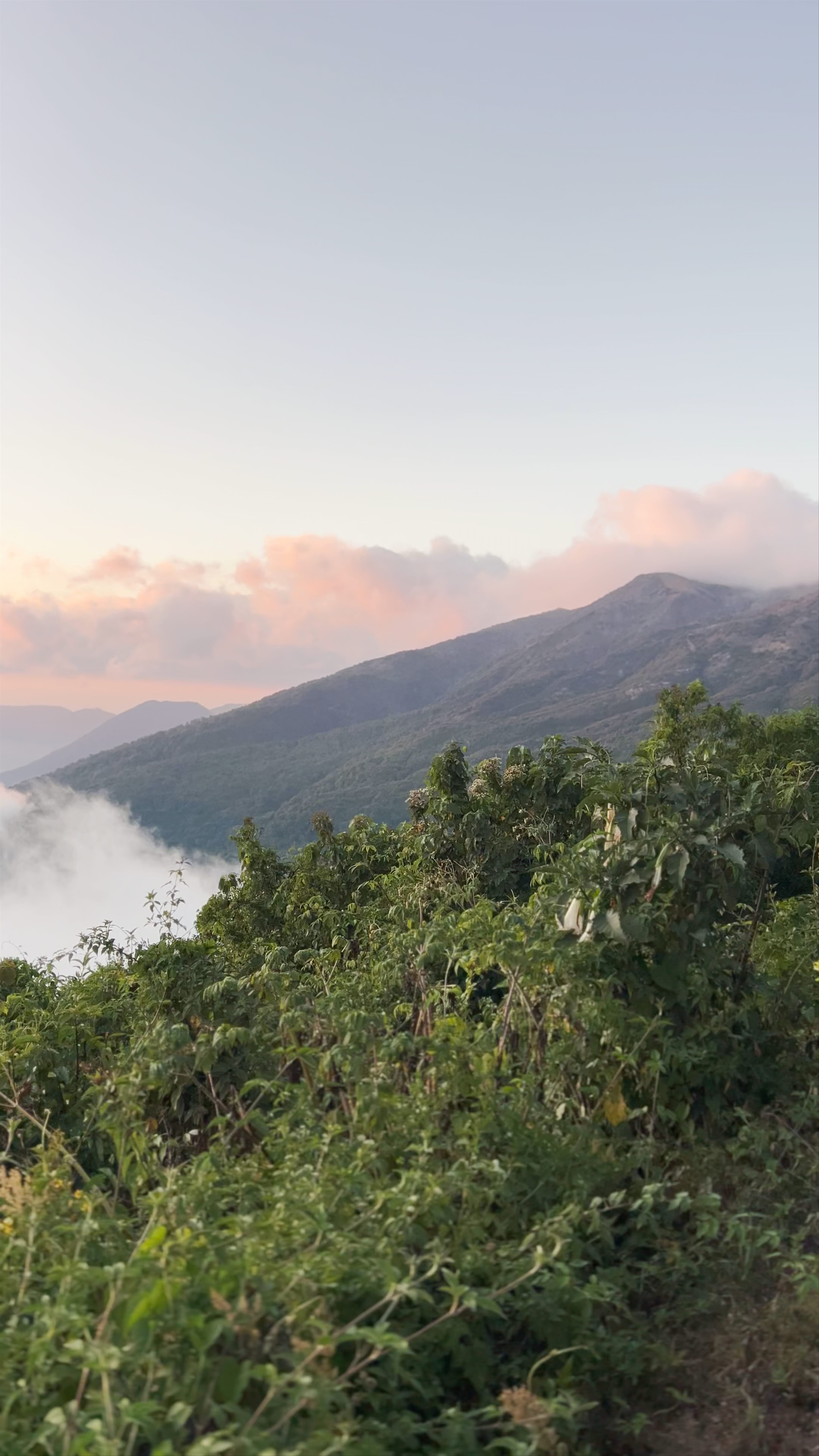 Parque Nacional Cerro Verde