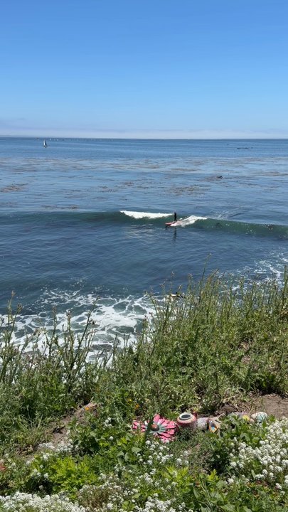 Steamer Lane - A few good waves - Local Flavor Near Me - Santa Cruz, California