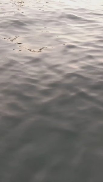 Photo of Munroe Island