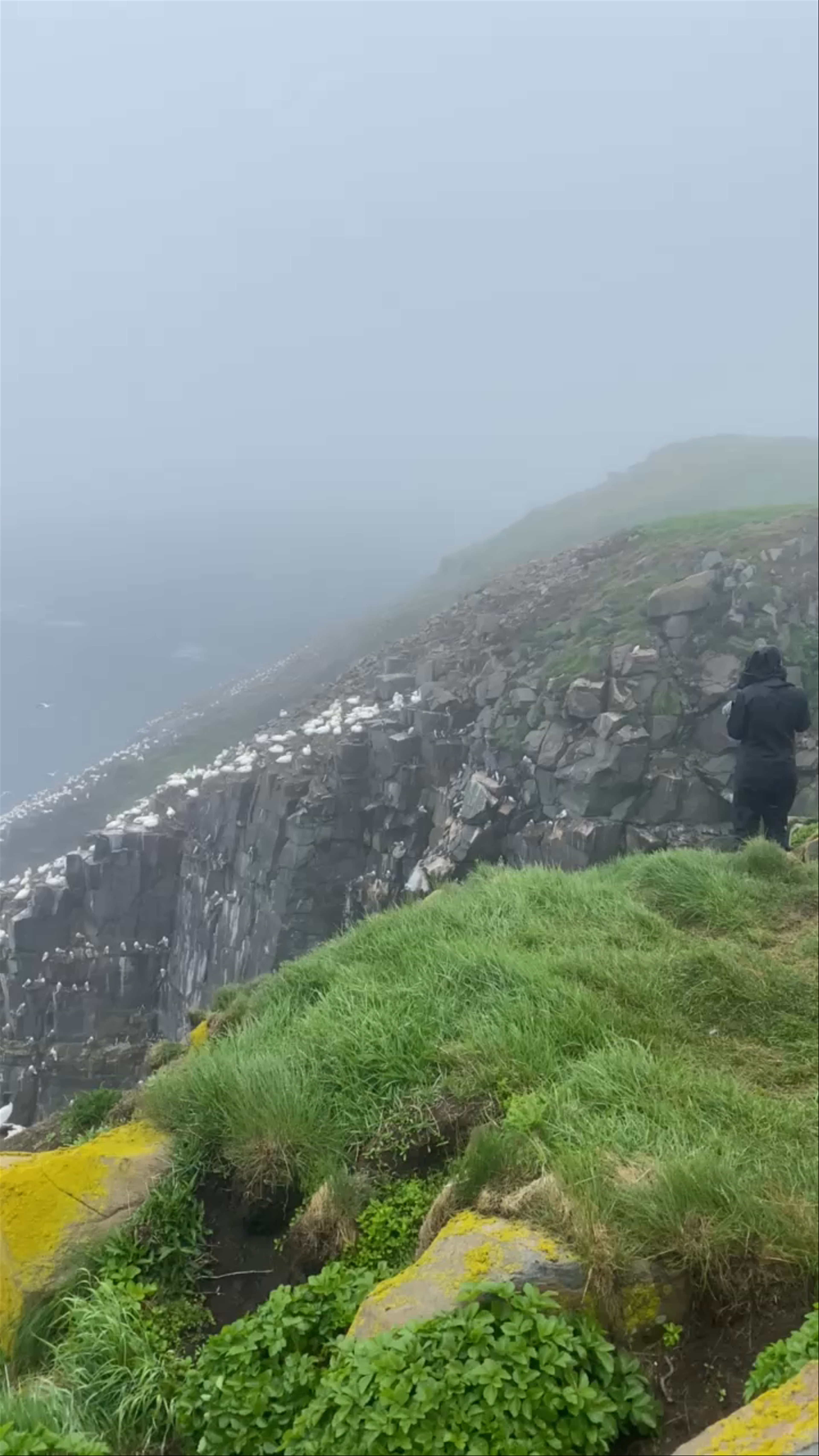 Cape St. Mary's Ecological Reserve