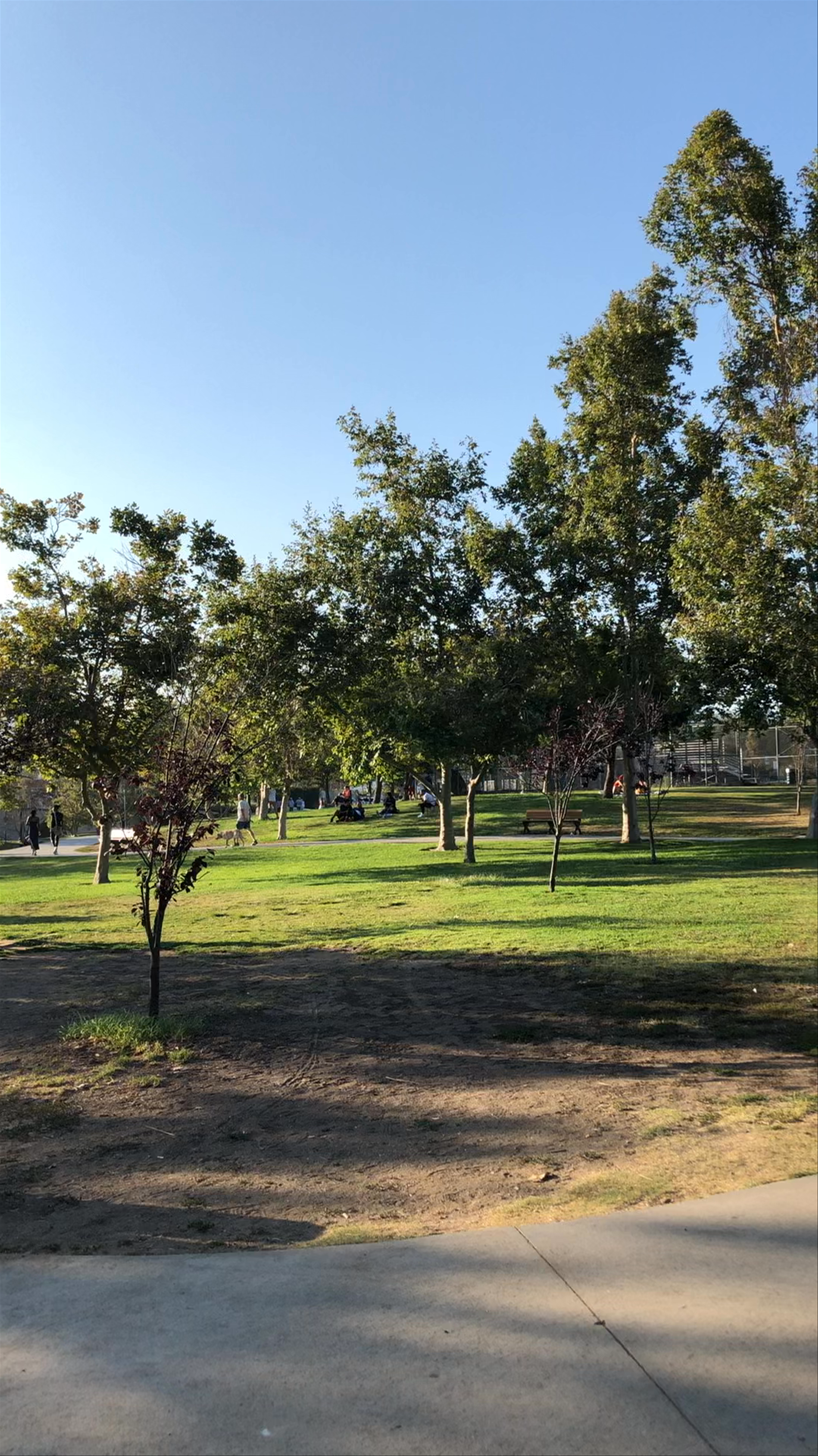 Pan Pacific Park 
