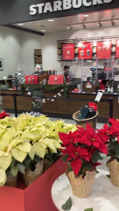 Target - Department Stores Near Me - Paso Robles, California