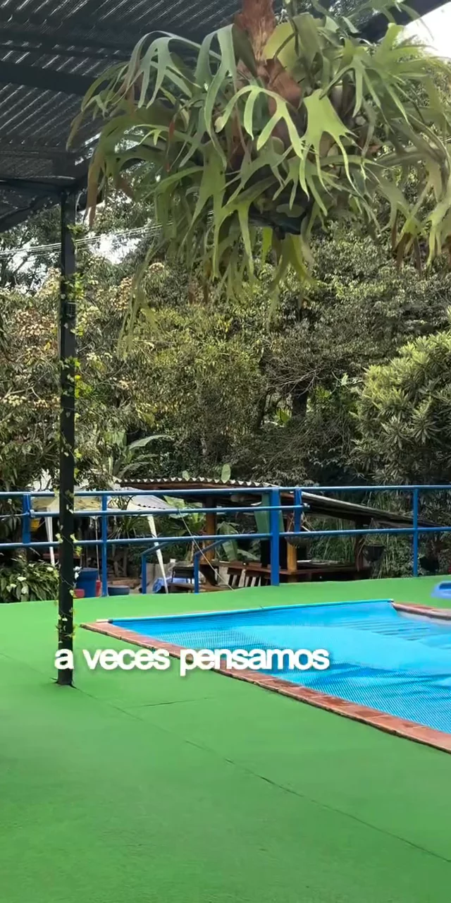 Contenido del creador