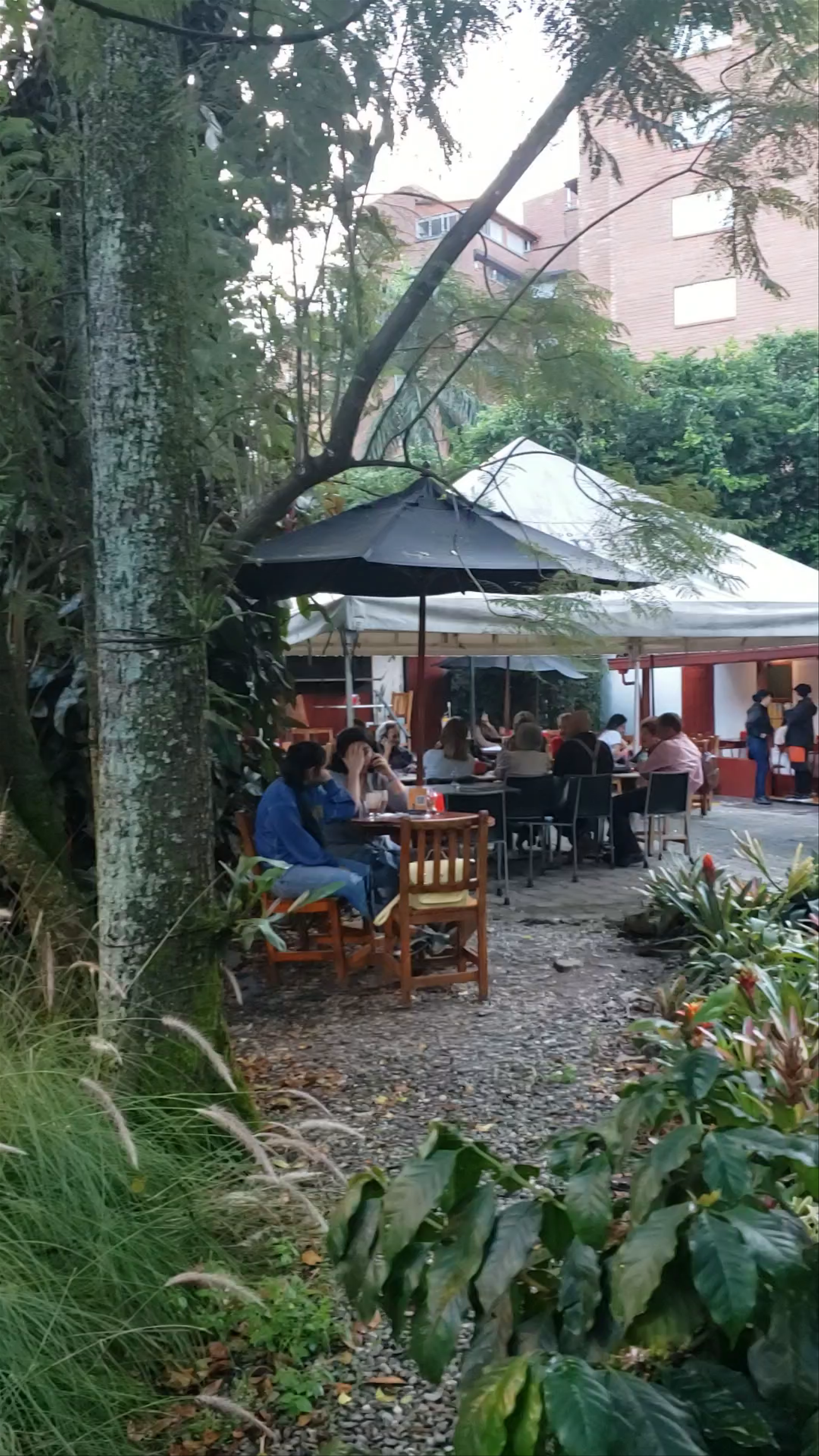 Otraparte: A Green Oasis Cafe in Envigado, Colombia
